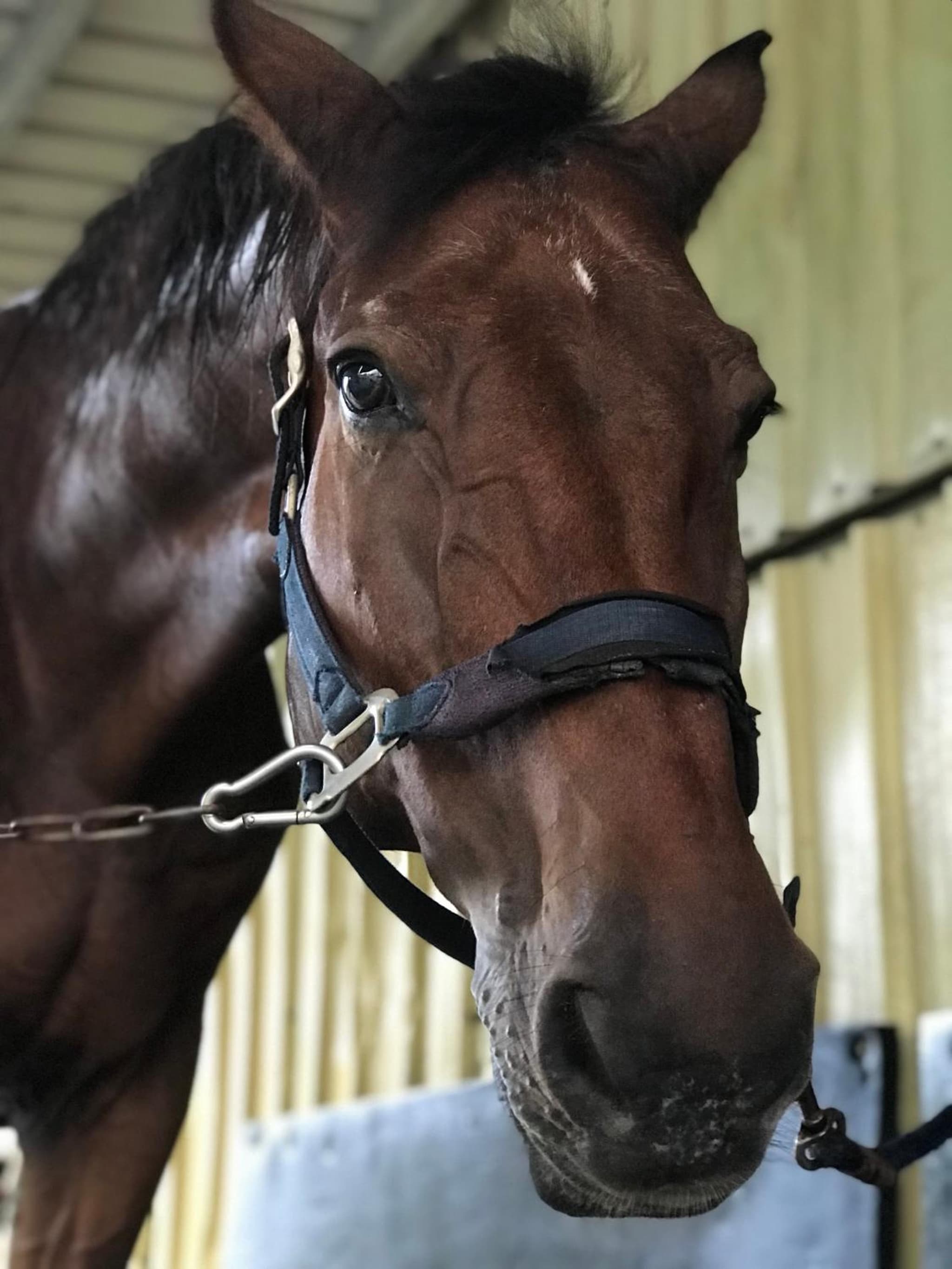 宜蘭頭城A Happy 享煙火節全景大陽台及24樓頂無邊際泳池 代辦騎馬 賞鯨 遊艇 私廚小吃等遊程 photo 4