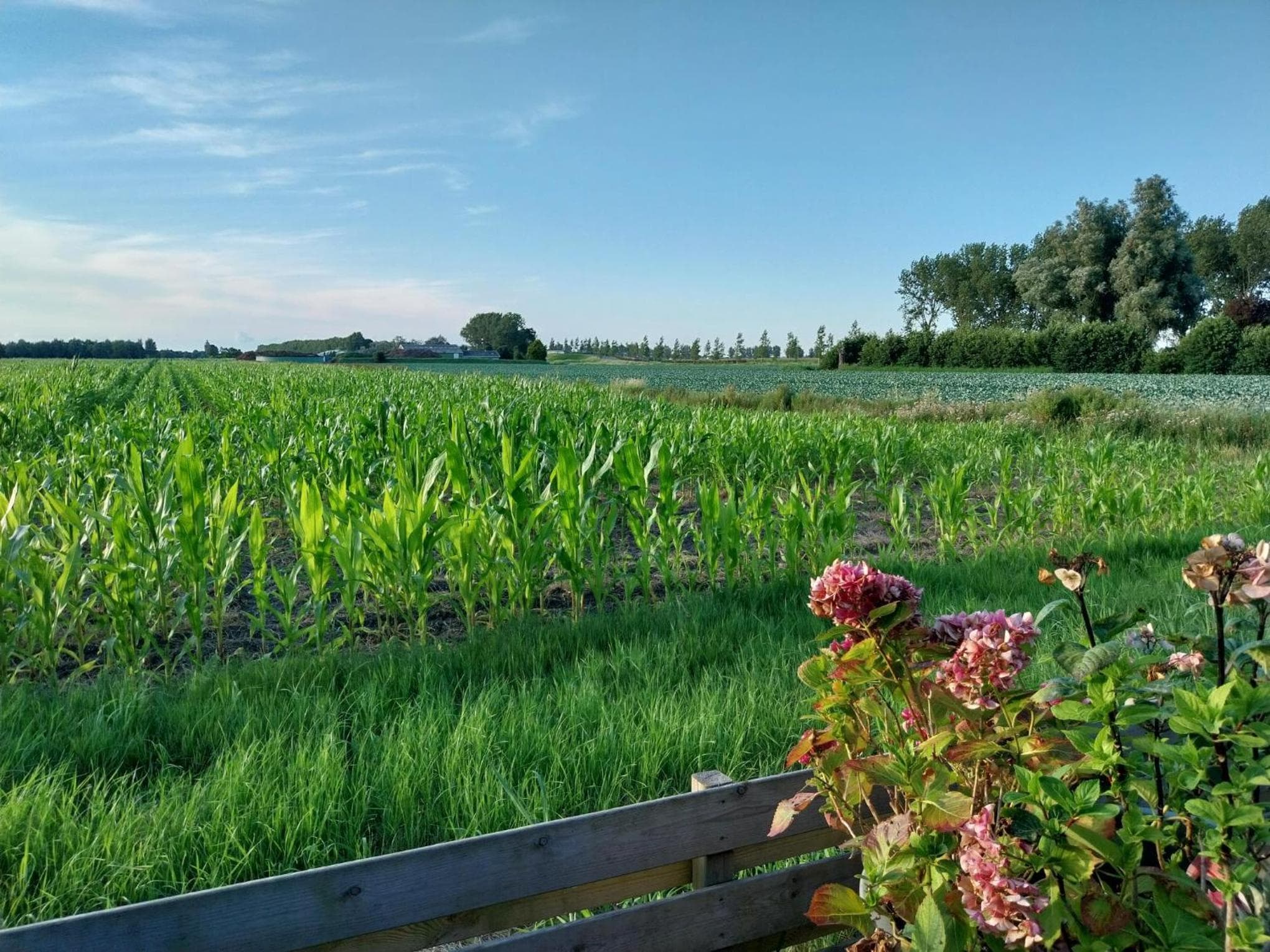Vakantiewoning Hem photo 9
