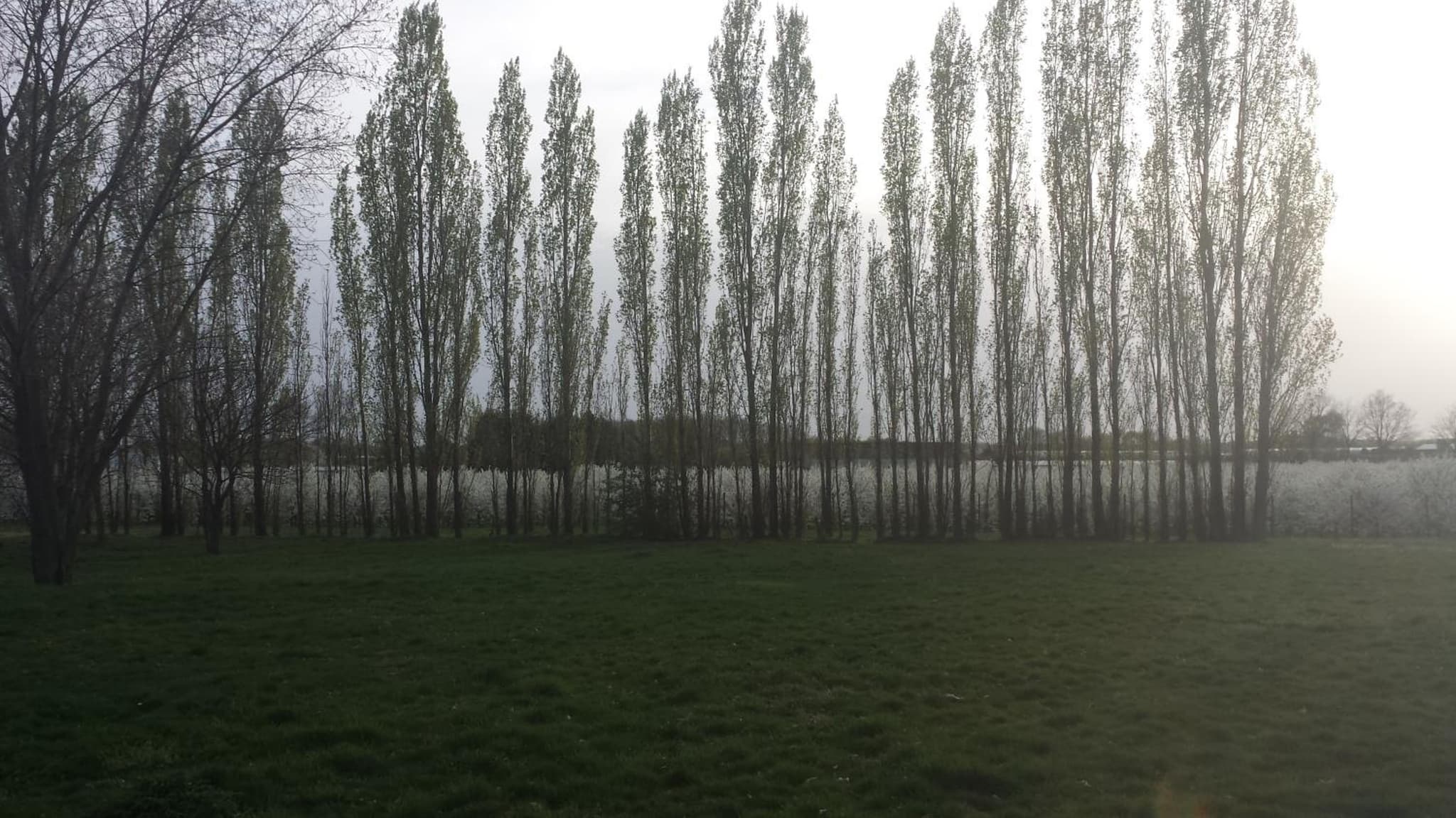 B&B Johannes-Hoeve photo 8