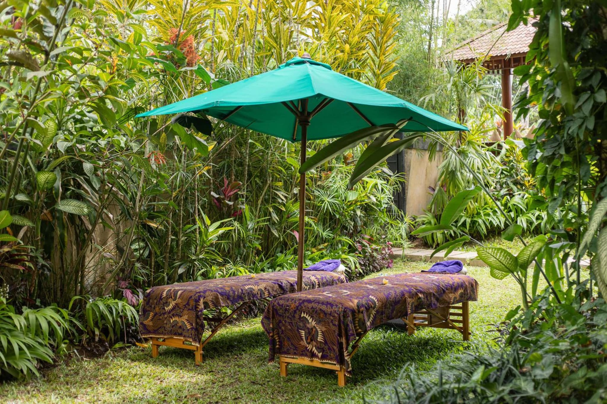 Nandini Jungle by Hanging Gardens photo 4