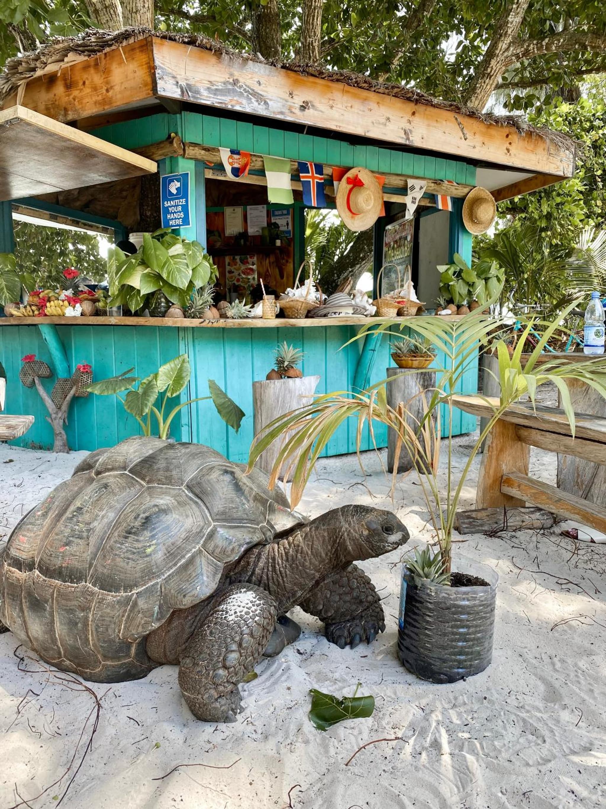 La Digue Island Lodge photo 2