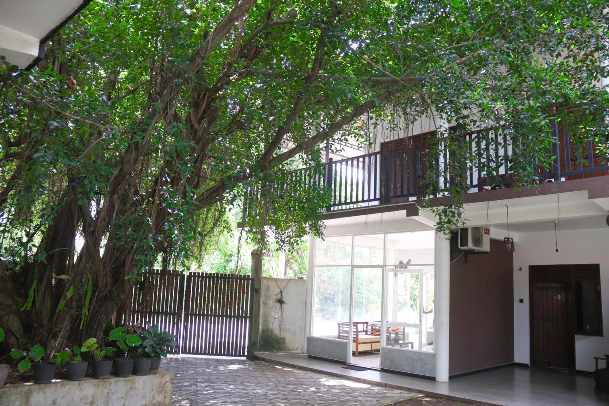 Elephant Orphanage Edge Hotel