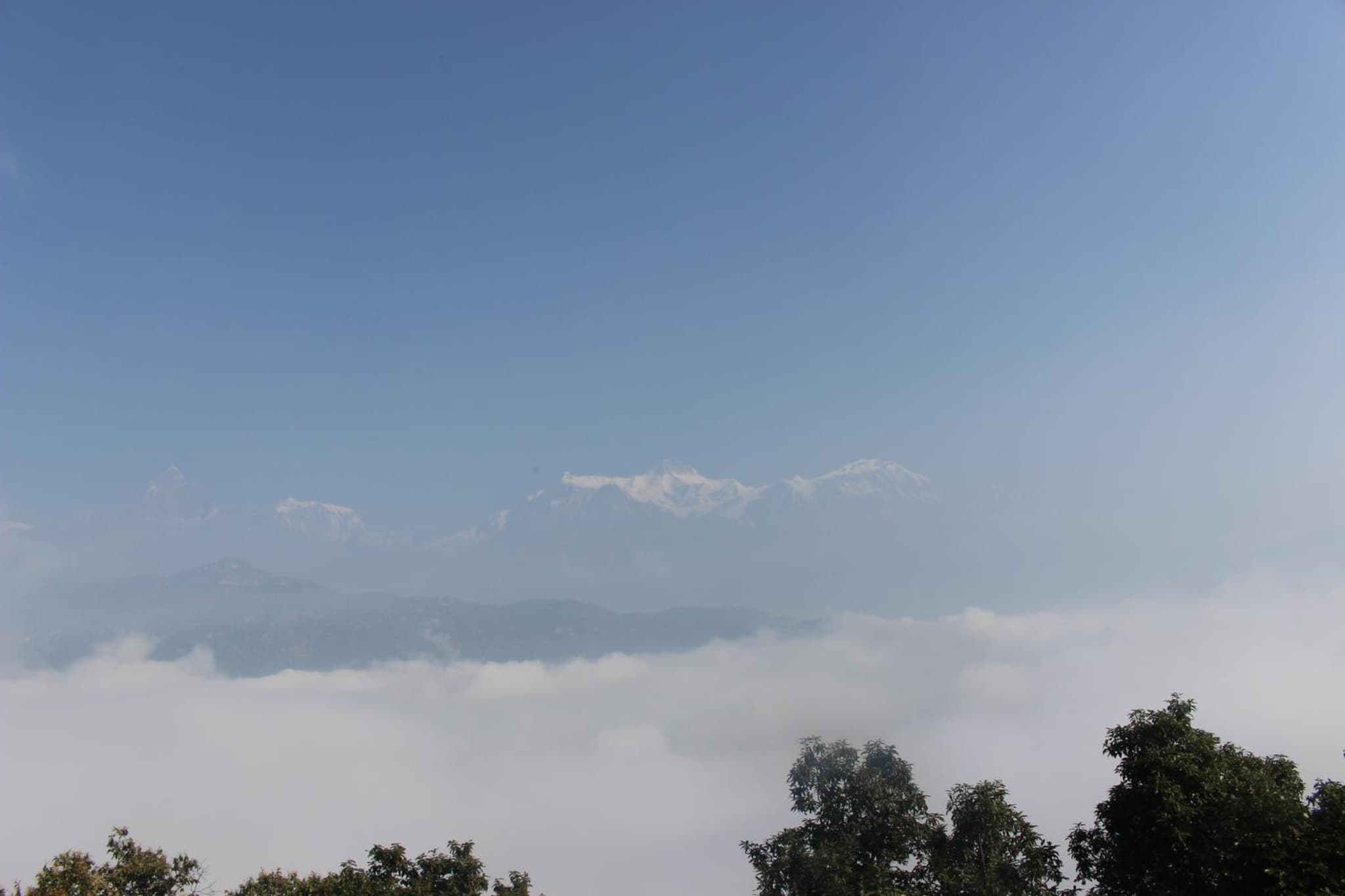 Siddhartha Garden Ayurveda photo 6
