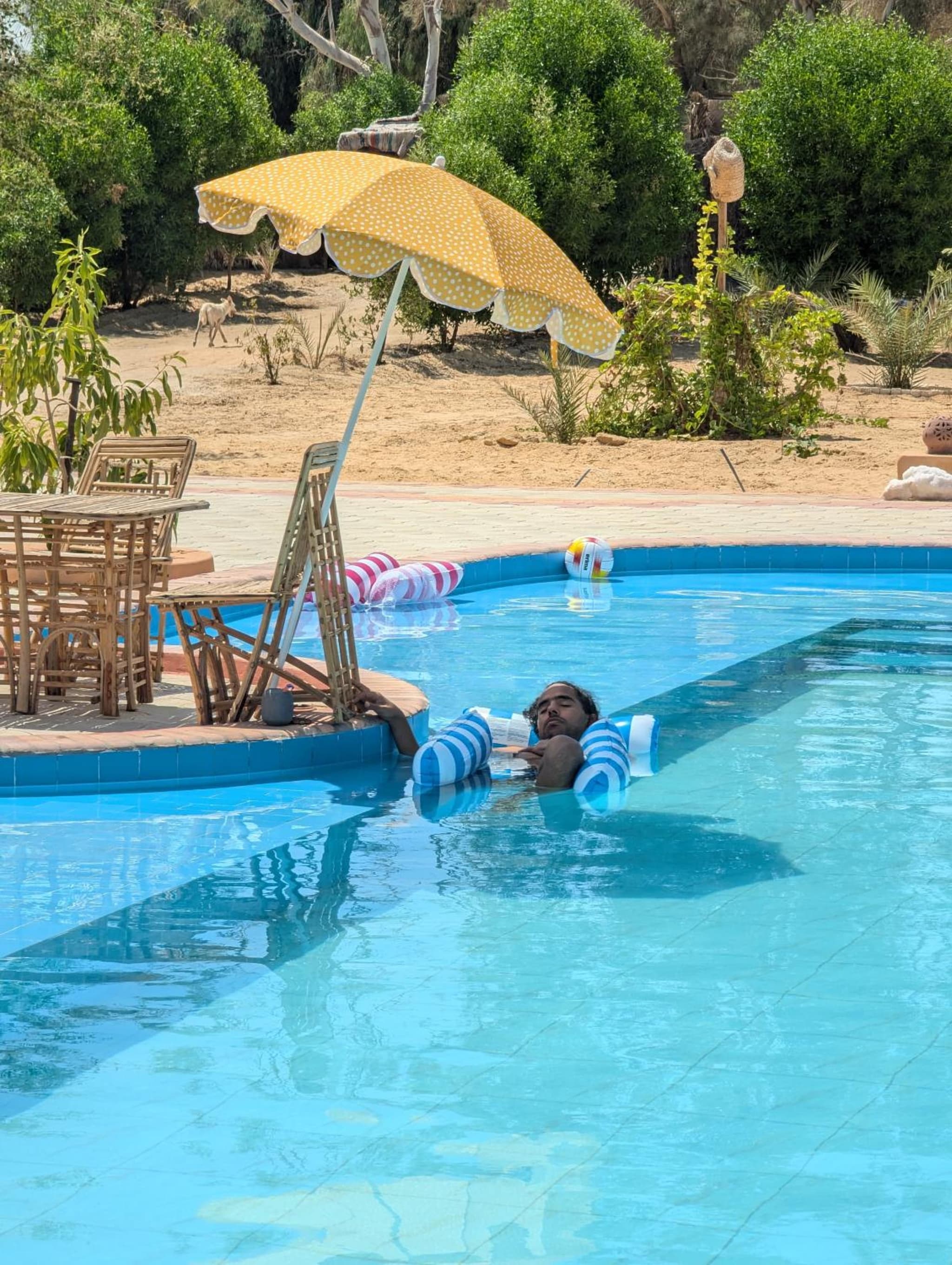 Cafour House Siwa - Hot Spring photo 4