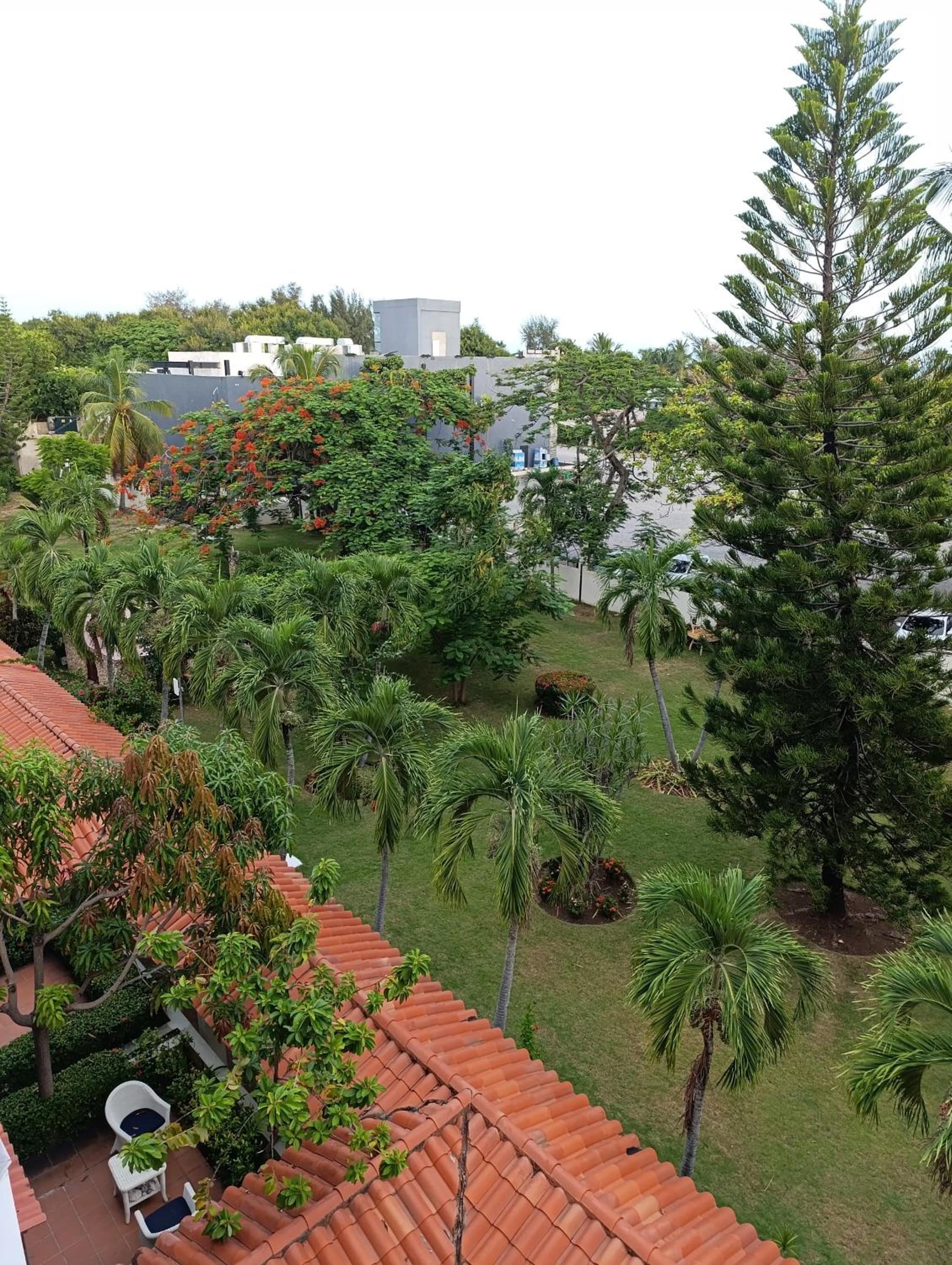 Acuario residencial 1 photo 9