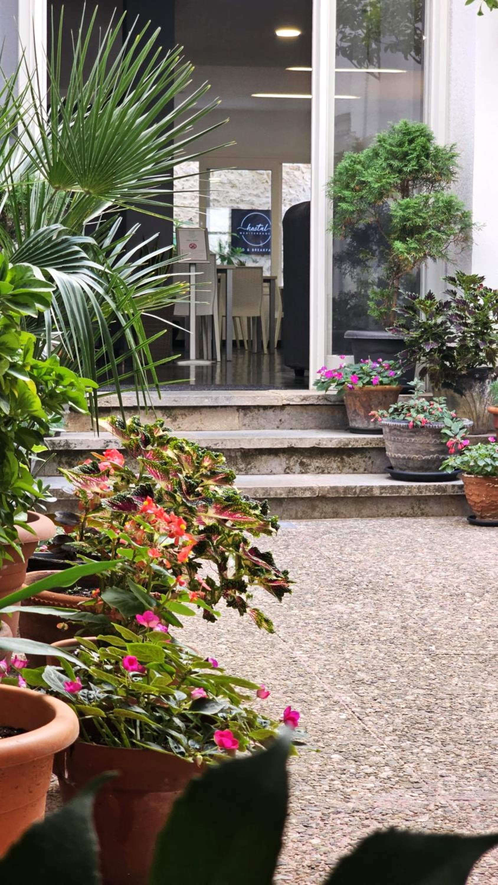 Hostal Mediterráneo photo 9