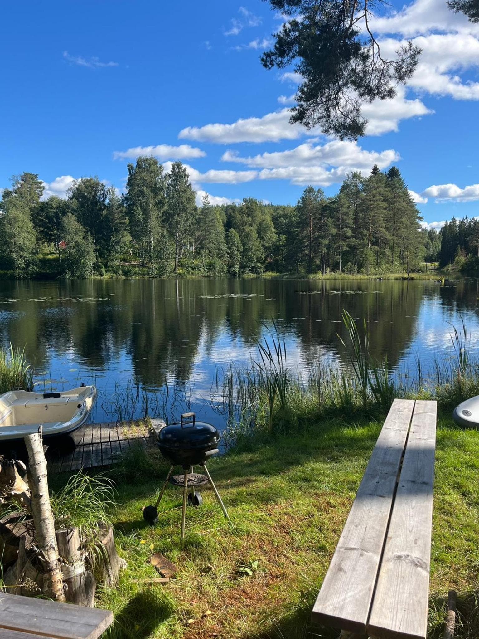 Forest, fishing & relax photo 6