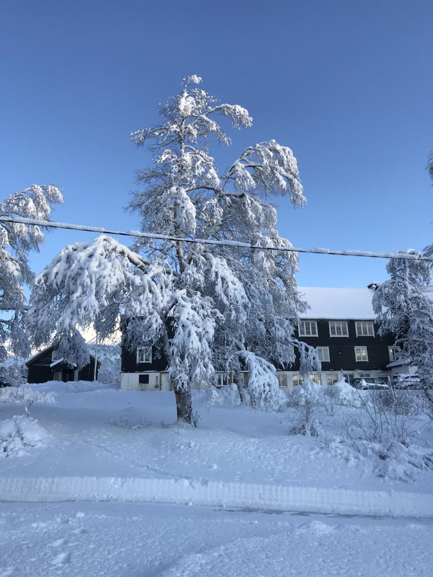 Kårdal Fjellstove photo 6