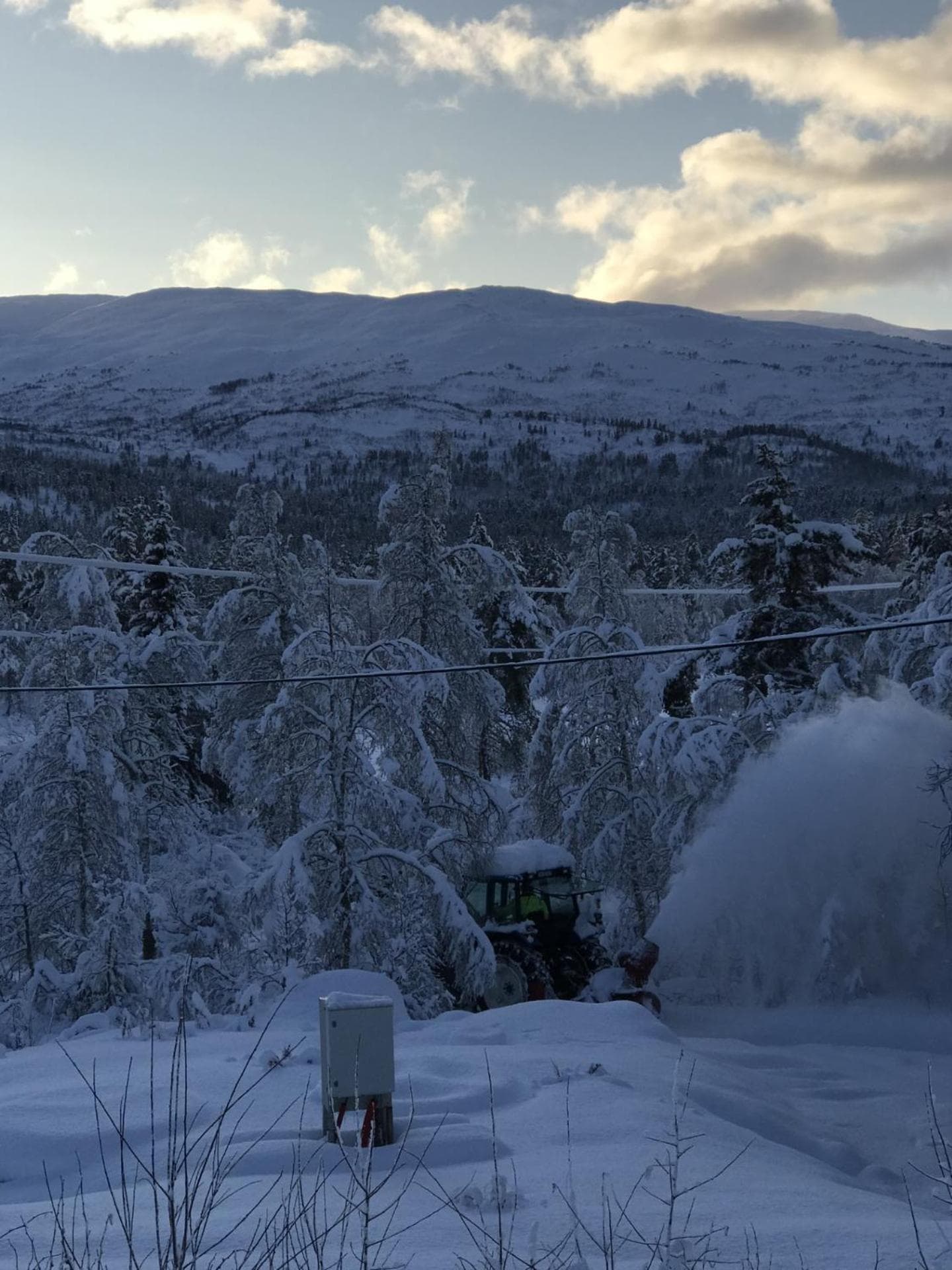 Kårdal Fjellstove photo 4