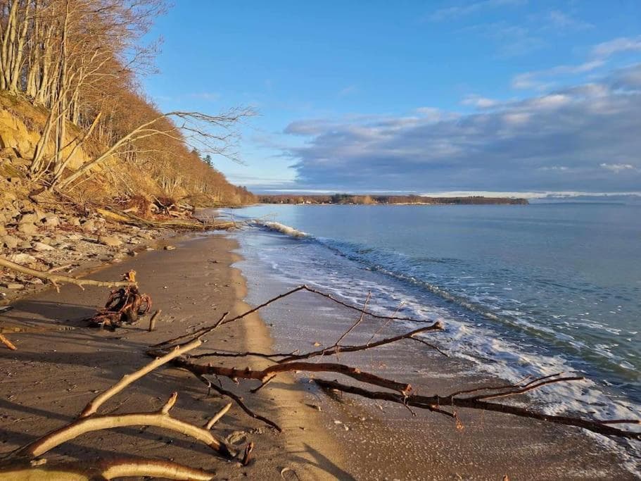 Close to Hesnæs forest and beach photo 4