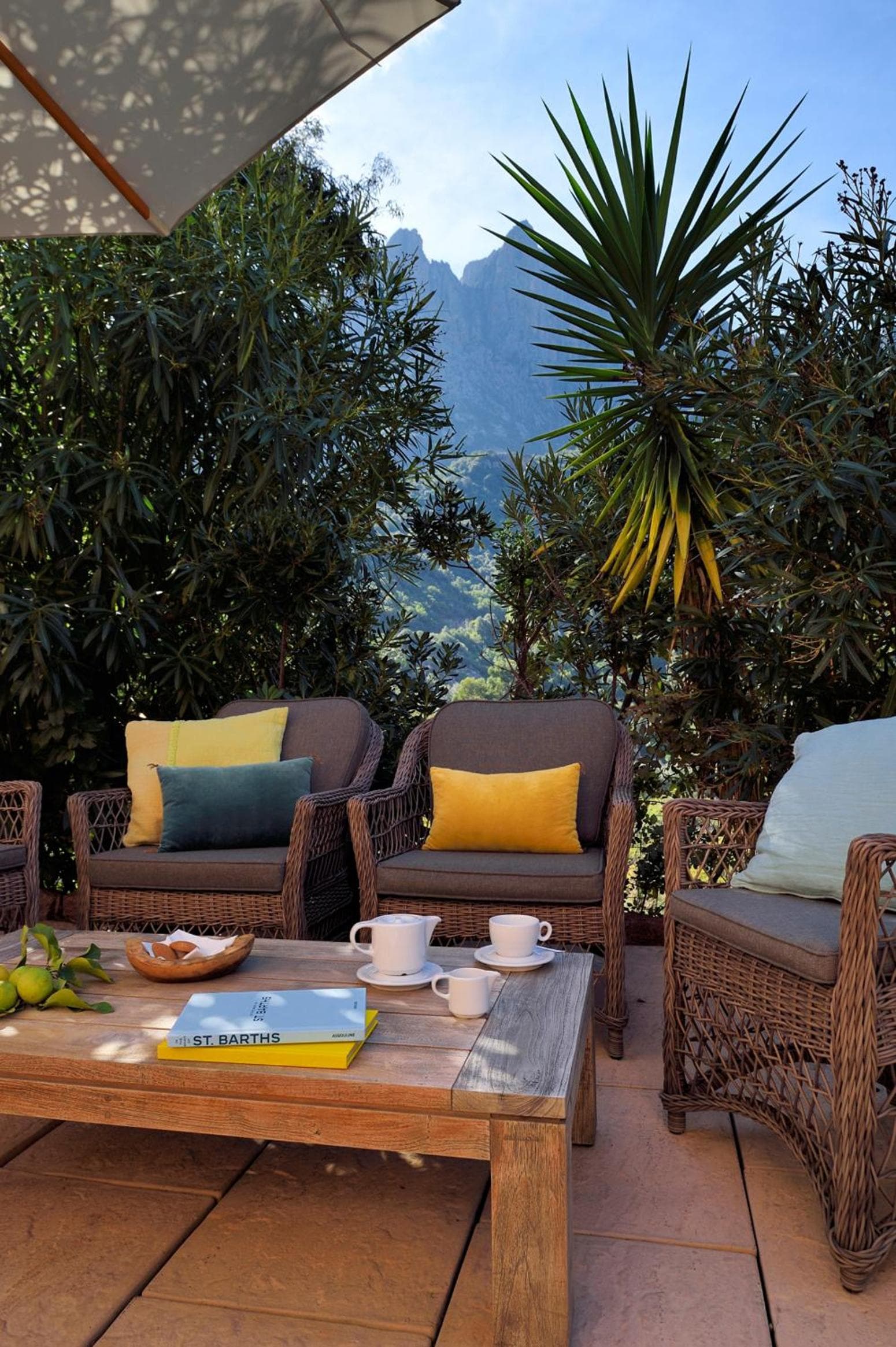 balance & terrace