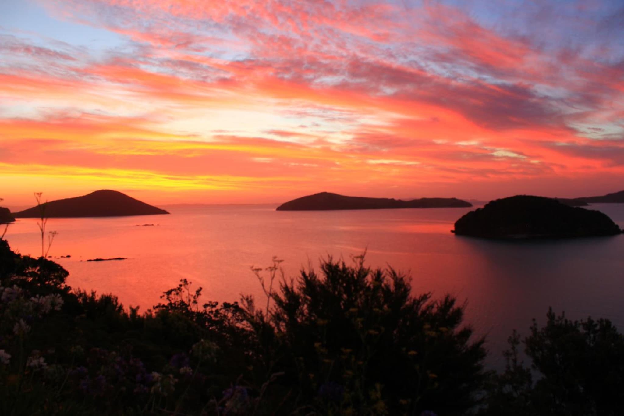 Coromandel Cottages photo 3