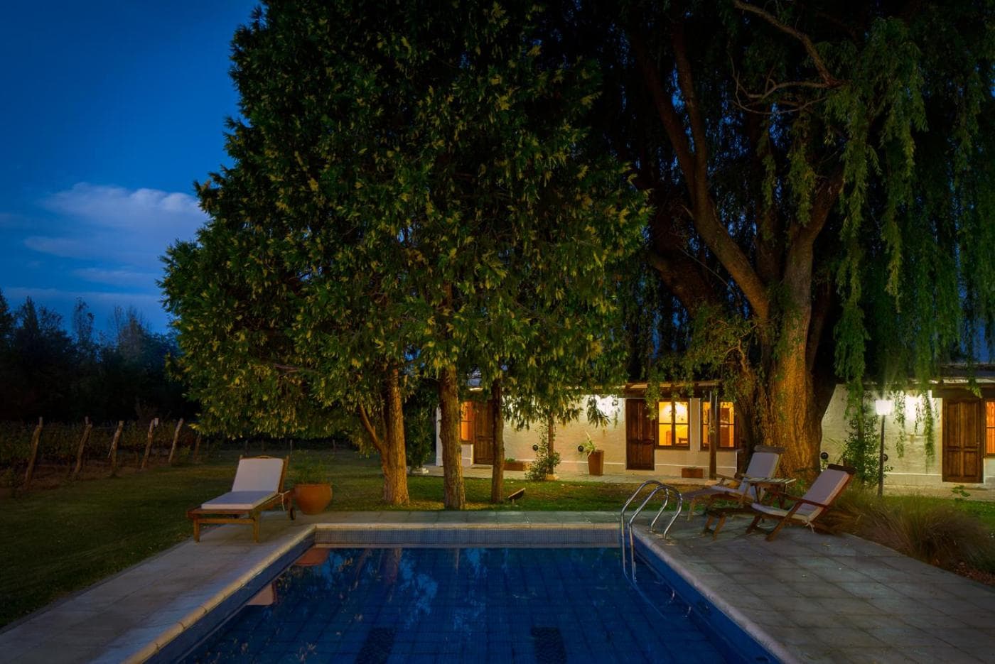 Postales Finca & Bodega by DOT Boutique photo 8