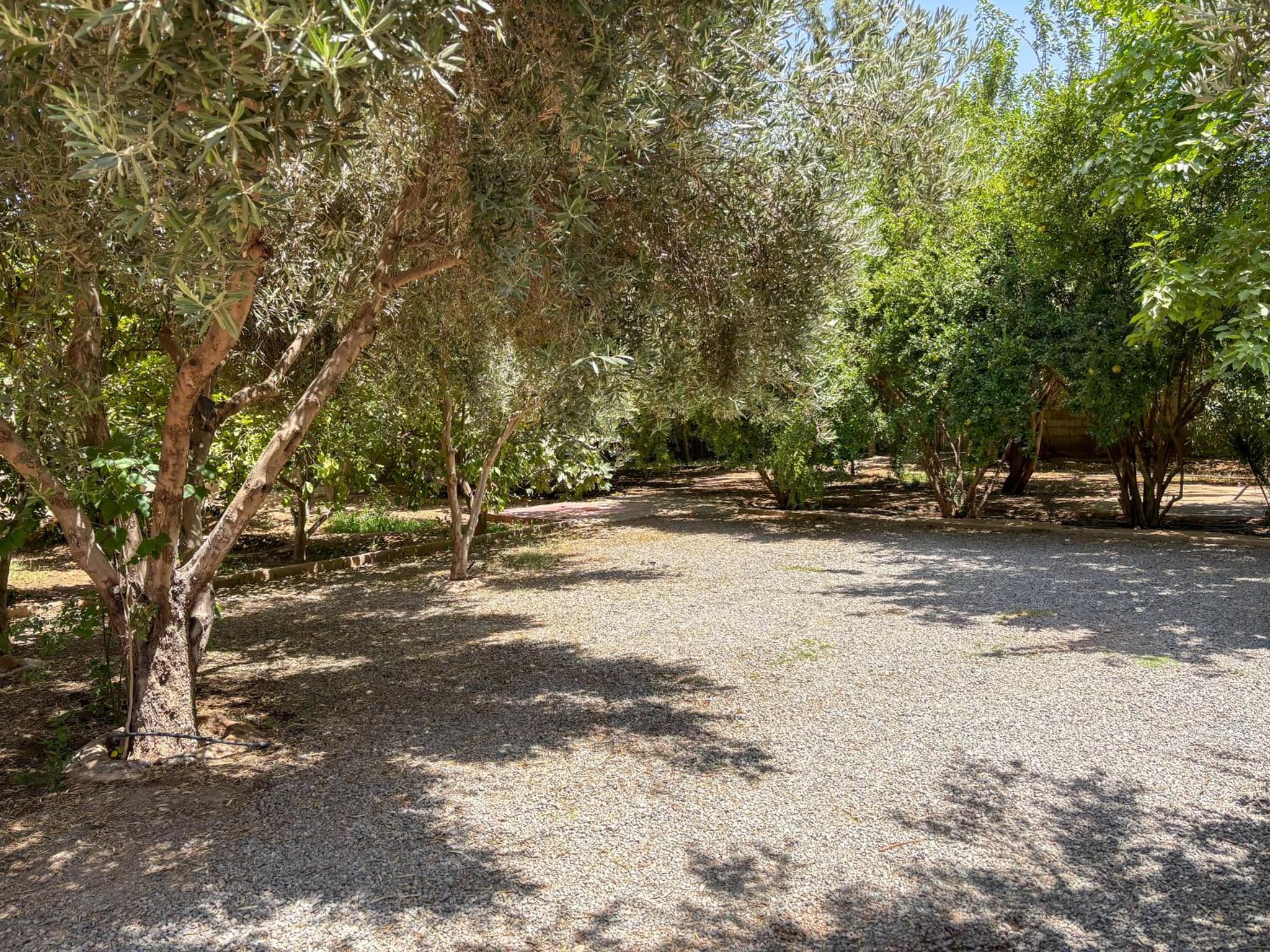 Le Bleu House photo 6