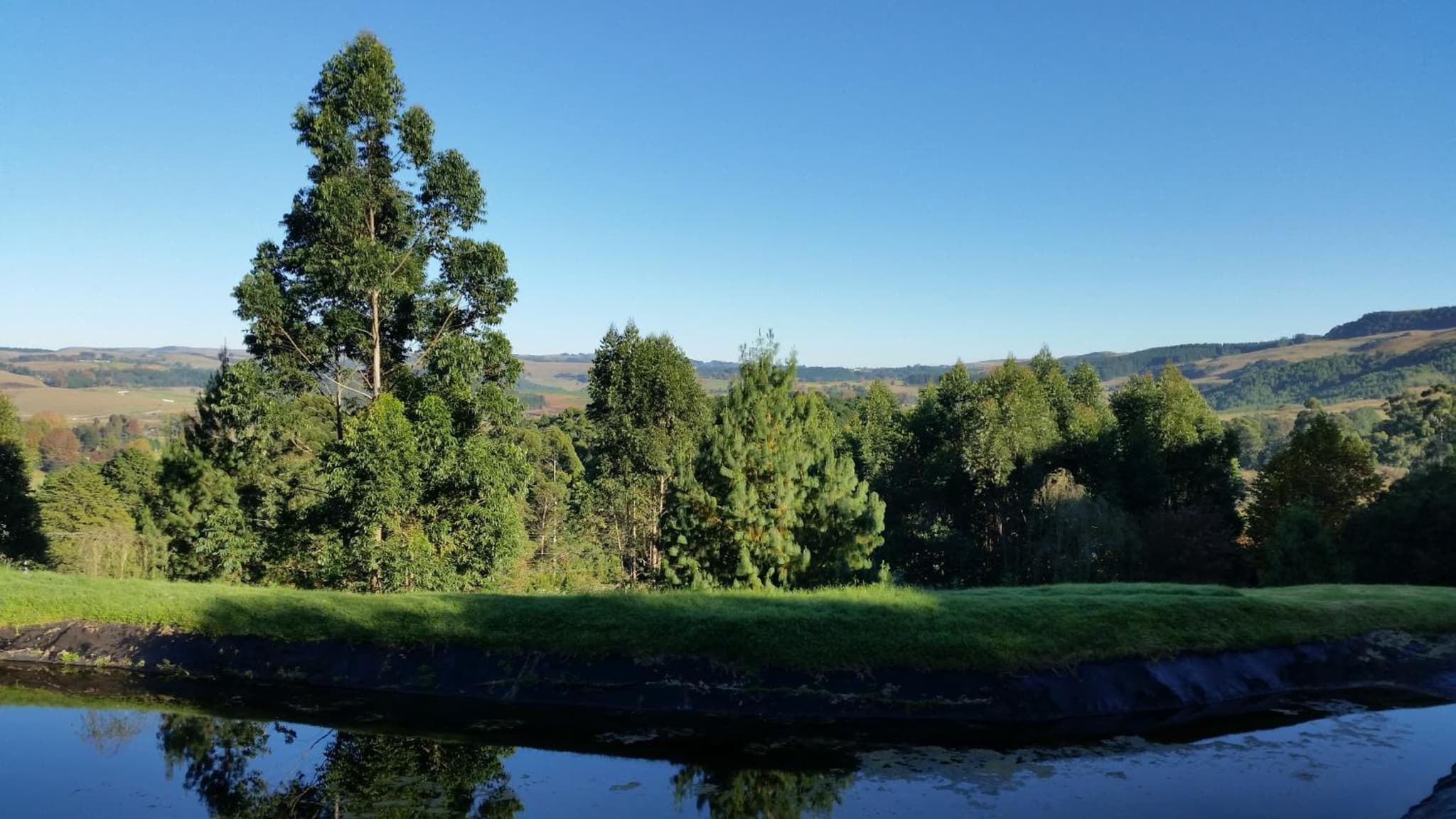 Arum Hill Lodge photo 5