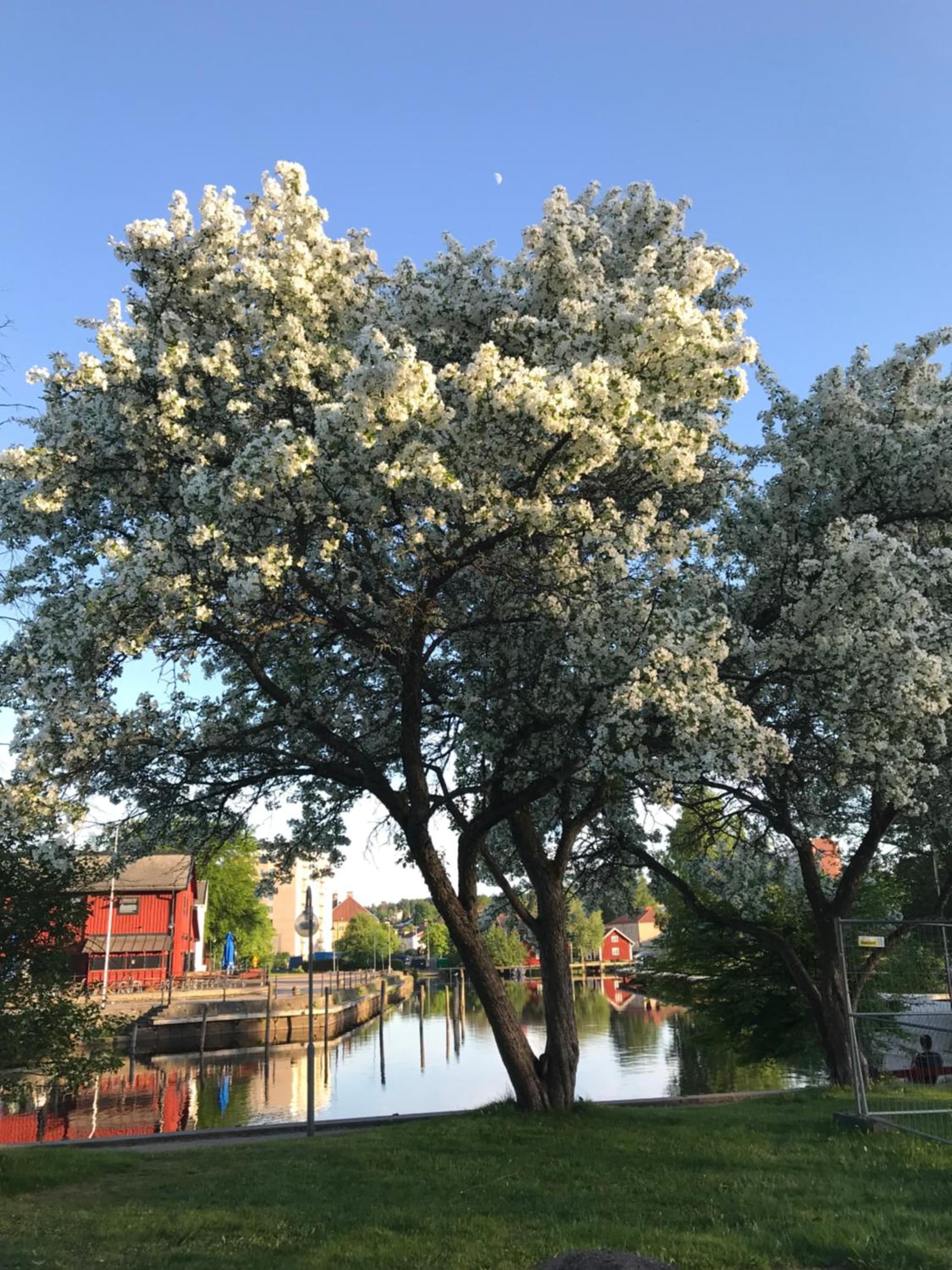 Gårdshus i centrala Kristinehamn photo 4