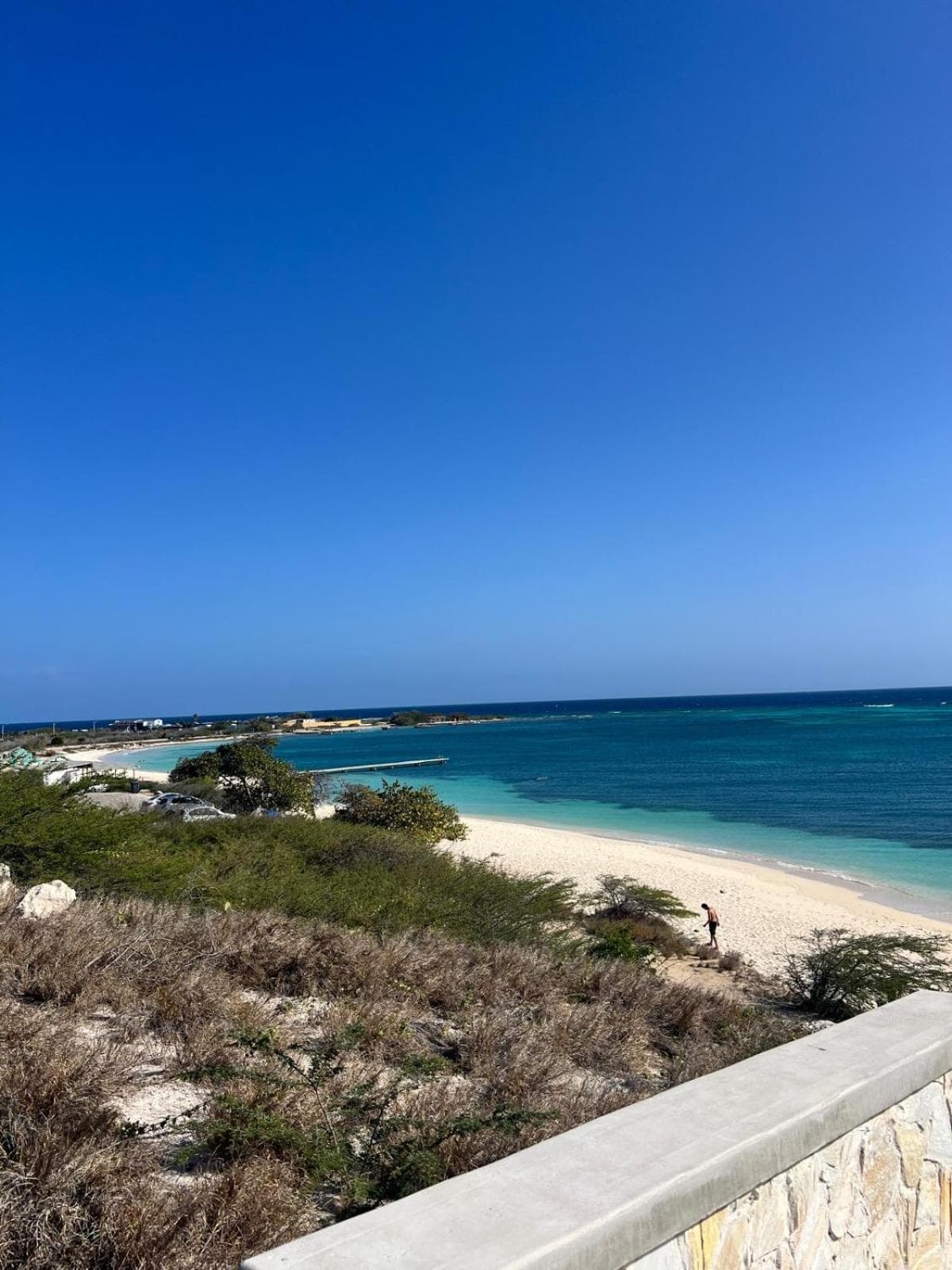 Walt's Aruba photo 5