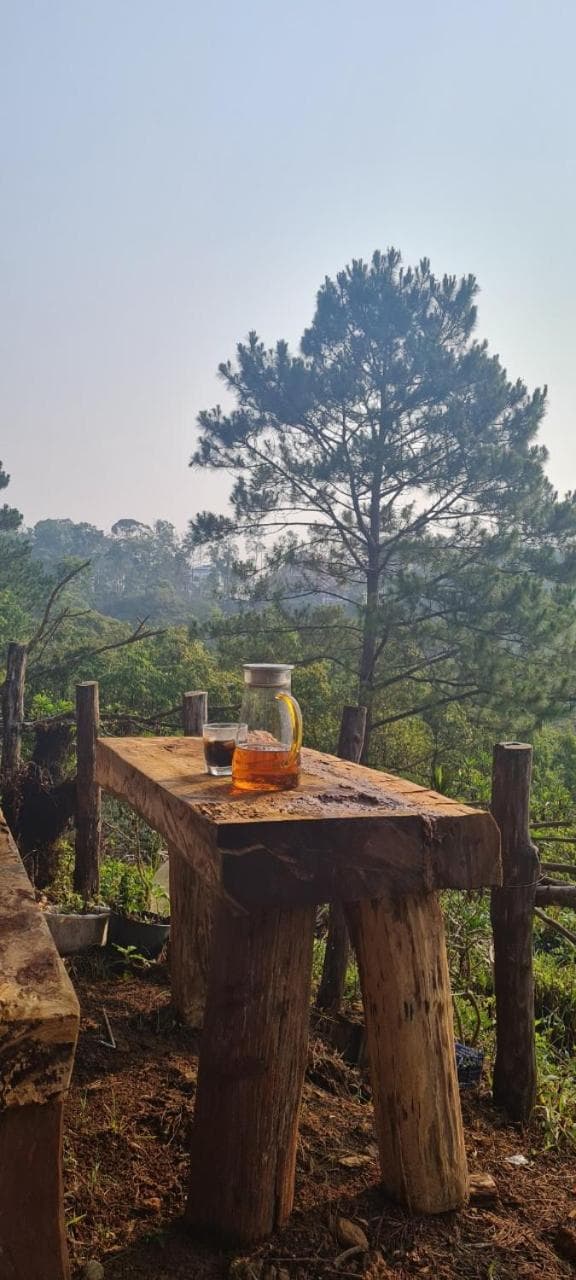 Big Măng Đen Homestay photo 9