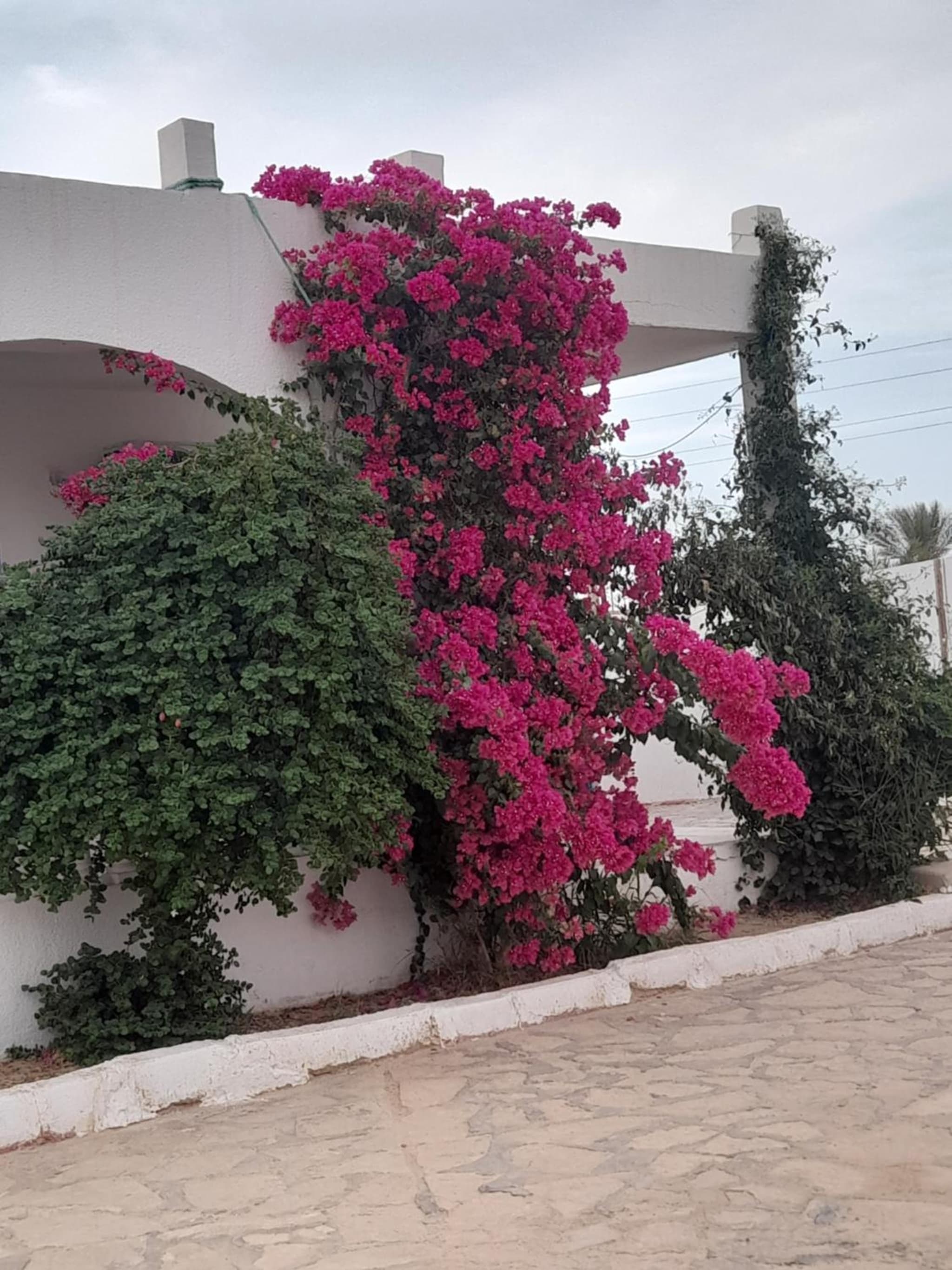 Residence Nour douz photo 5