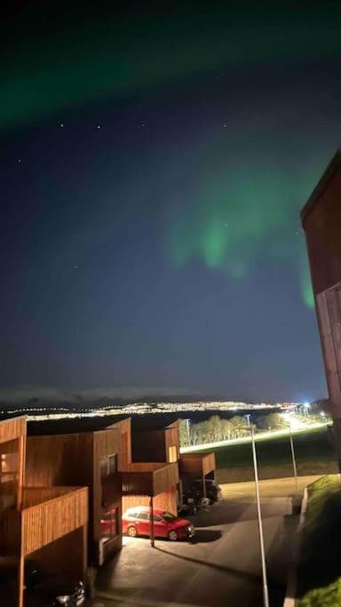Arctic Aurora Studio I NEW IN 2023 photo 6