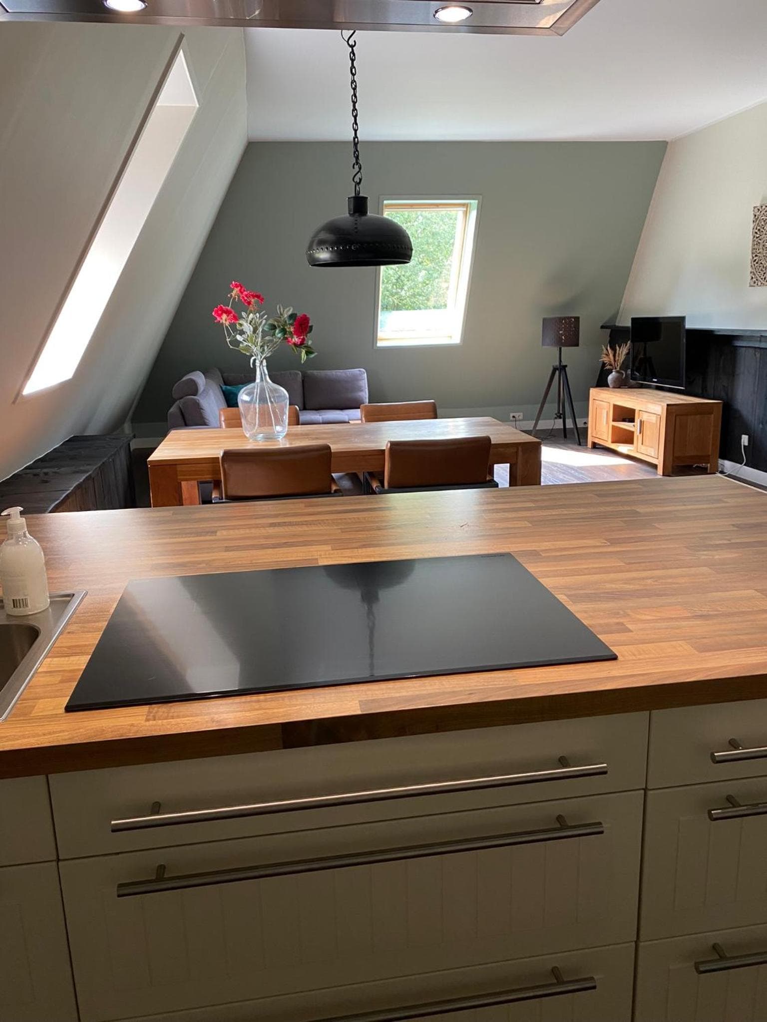 Appartement Zeldam photo 8