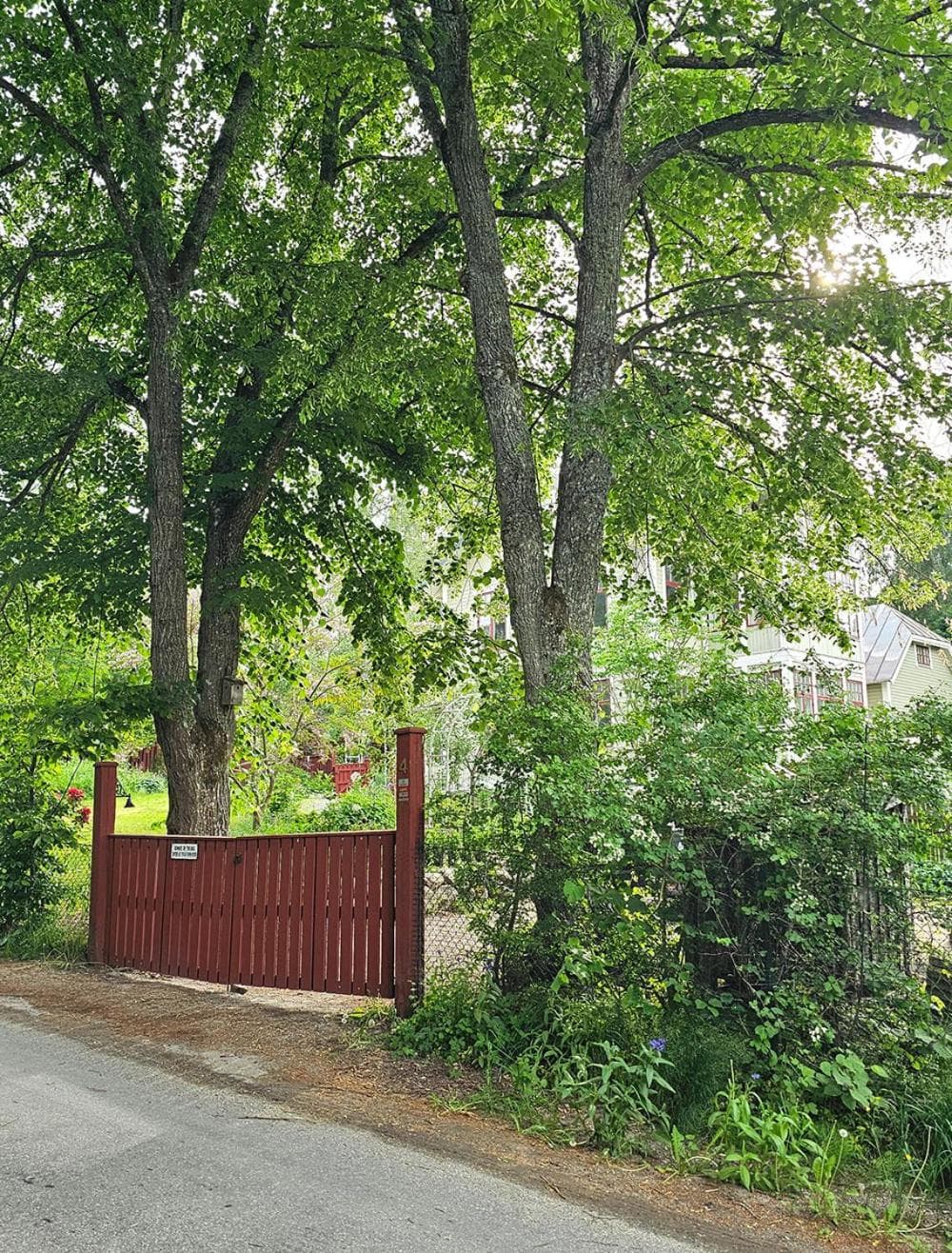 Villa Kämparo photo 4