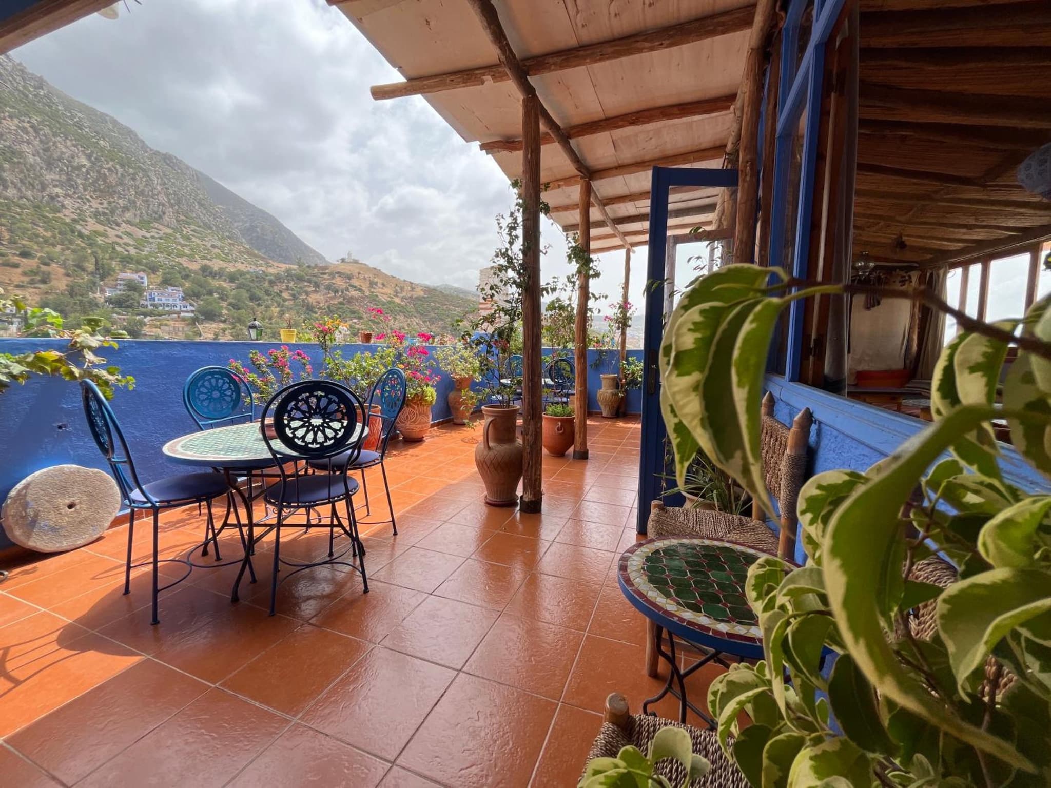 Casa Blue Star