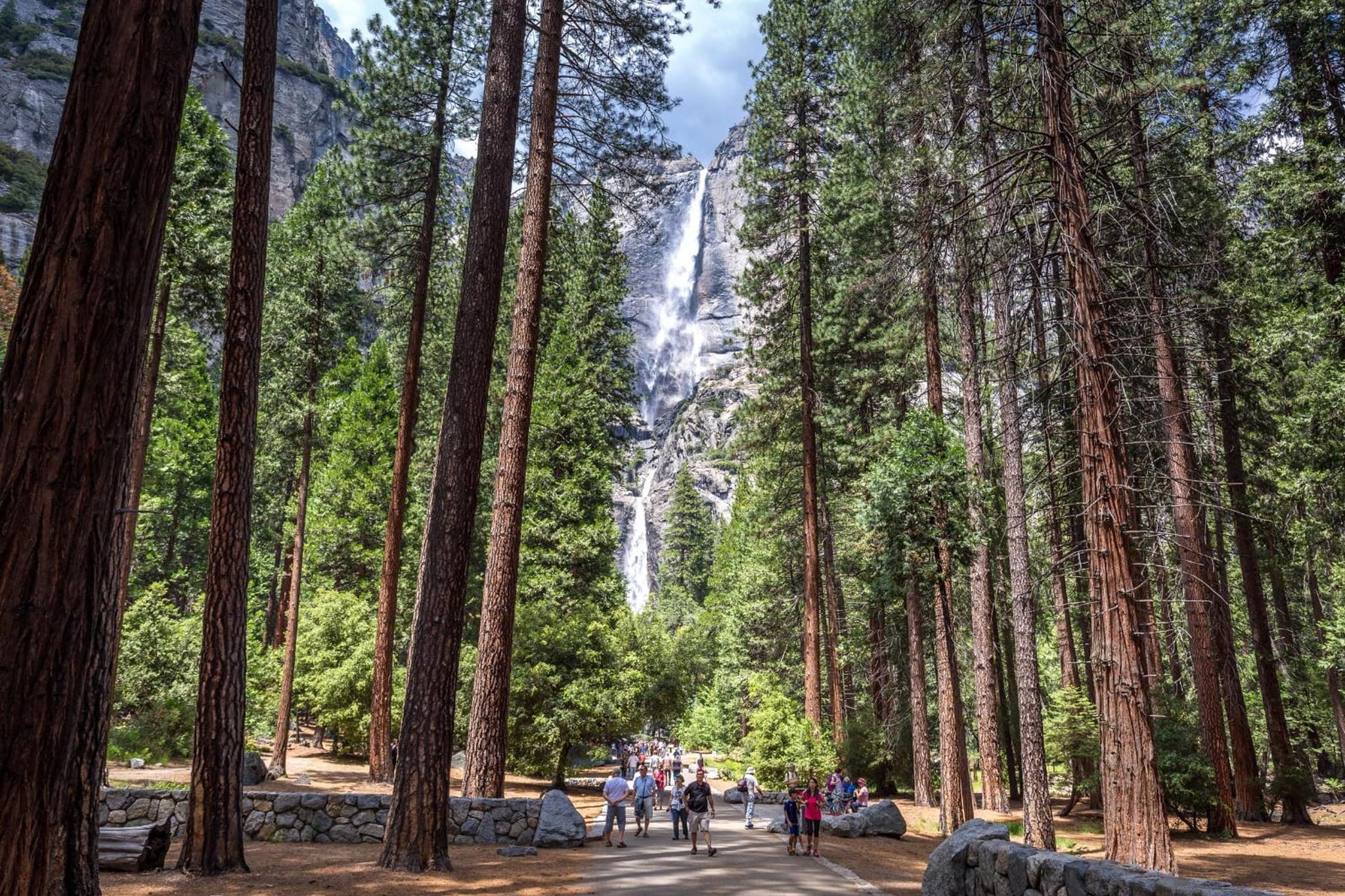 Evergreen Lodge at Yosemite photo 7