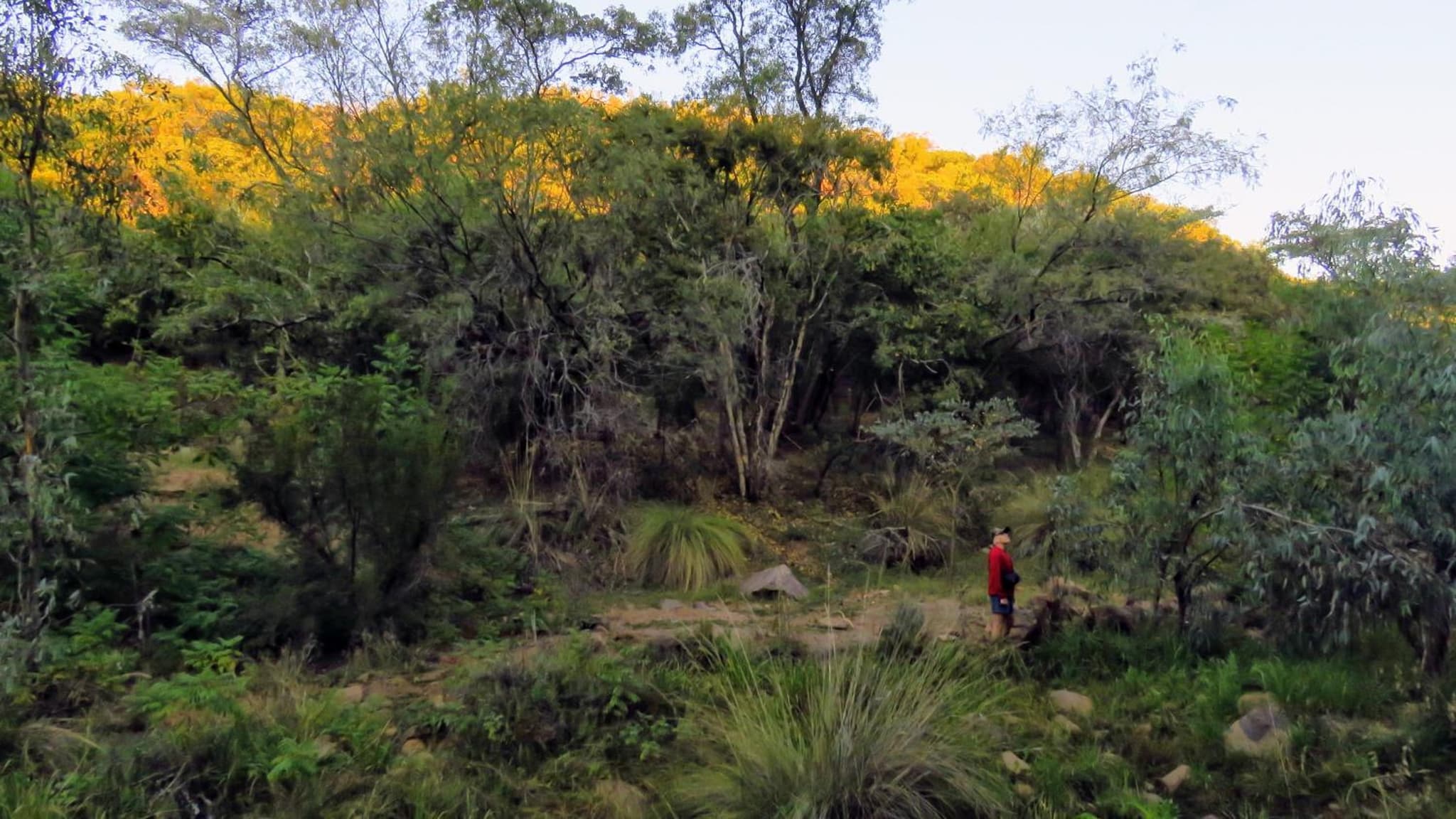 Modubu Lodge photo 2