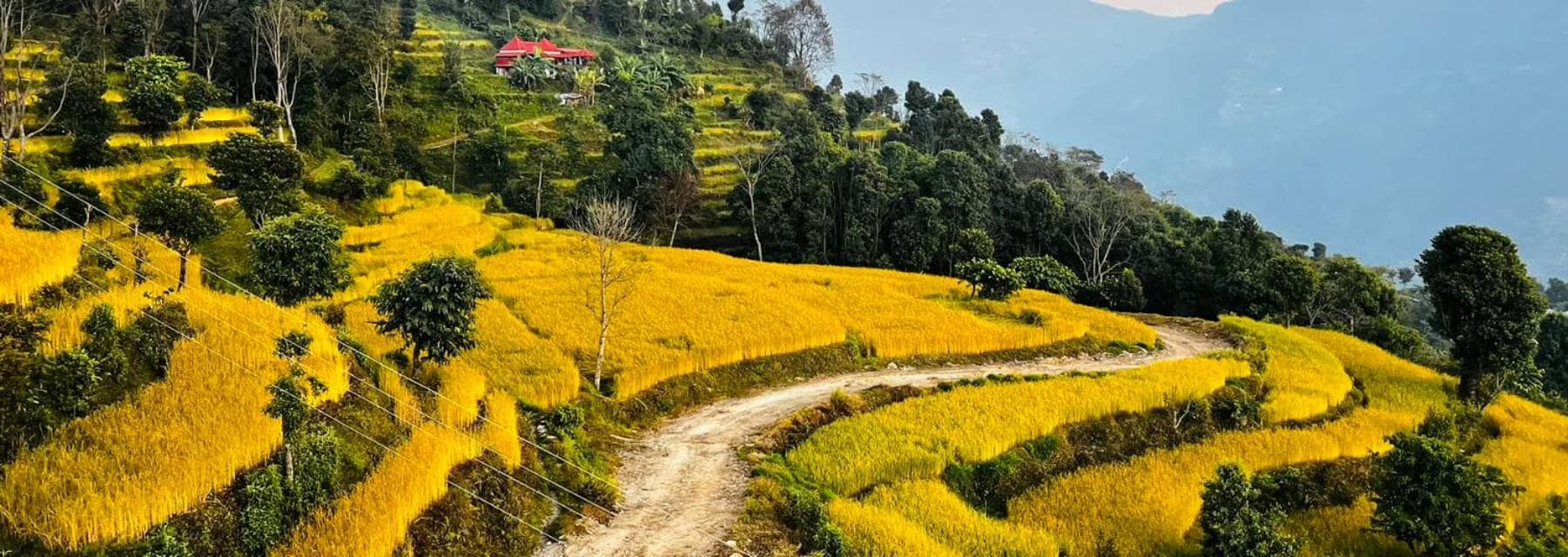 Nepal Niksen photo 2
