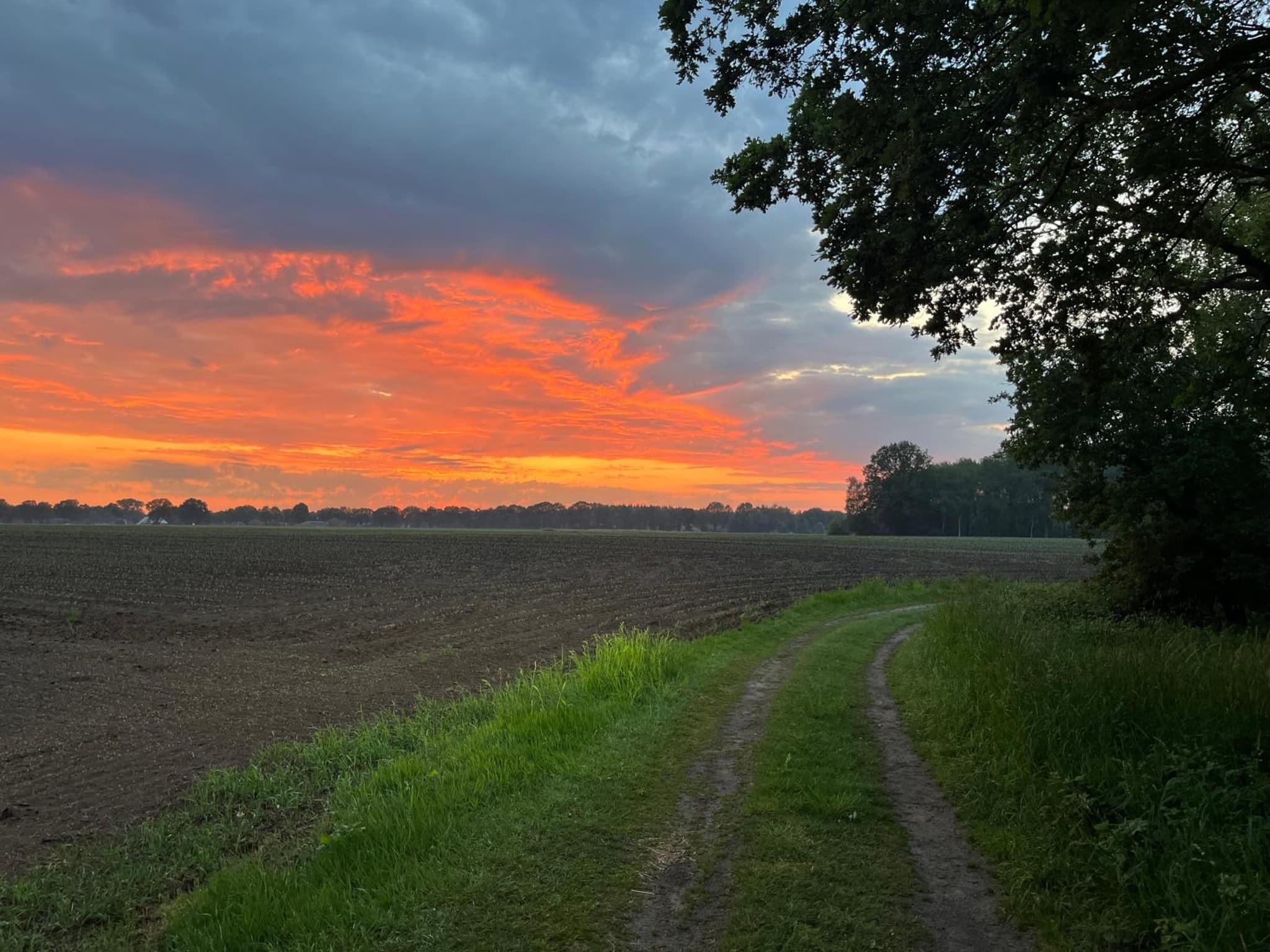 Doevelsteeg Ommen photo 7