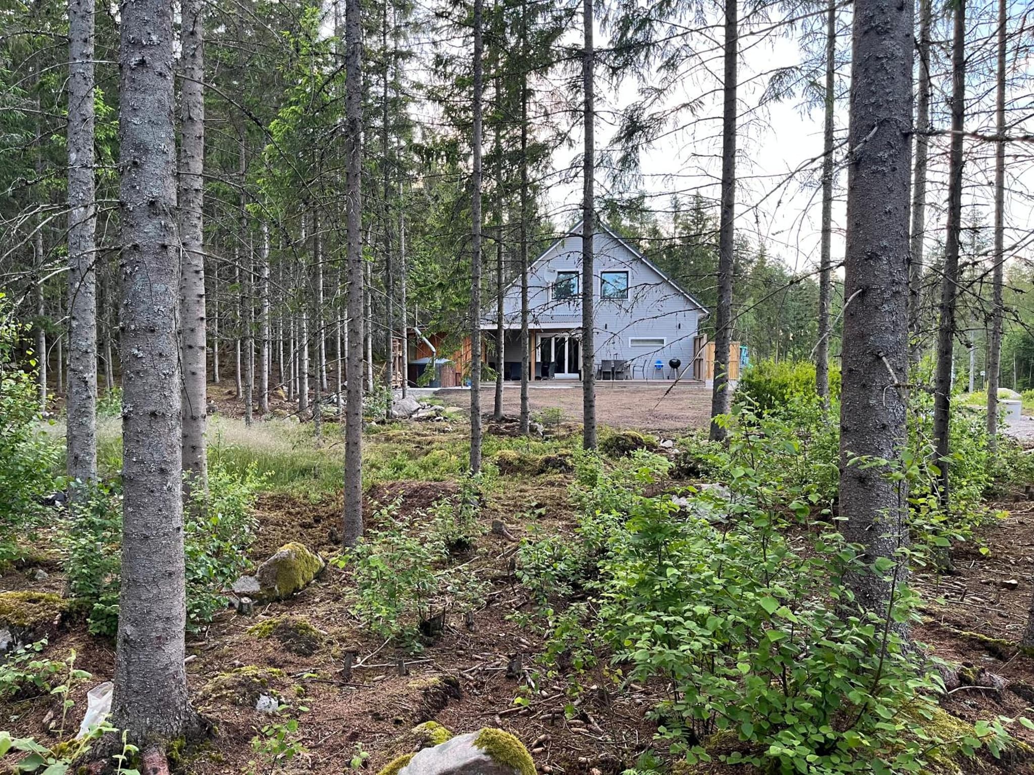 Gäststuga 100m från sjön photo 9