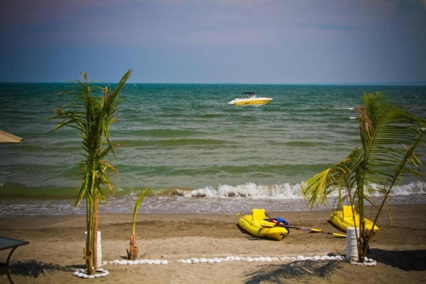 Playa Caracol Hotel & Spa photo 3