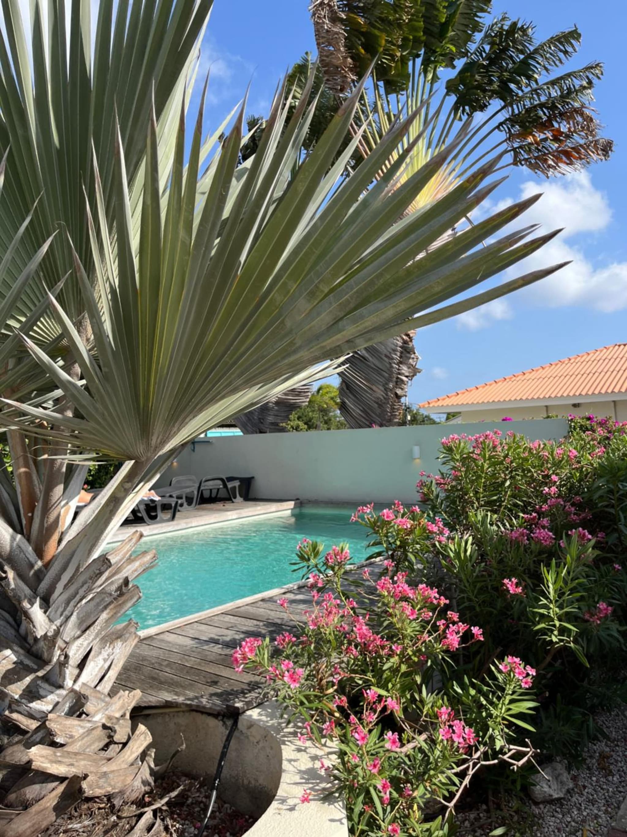 Casa Dushi Bida photo 8