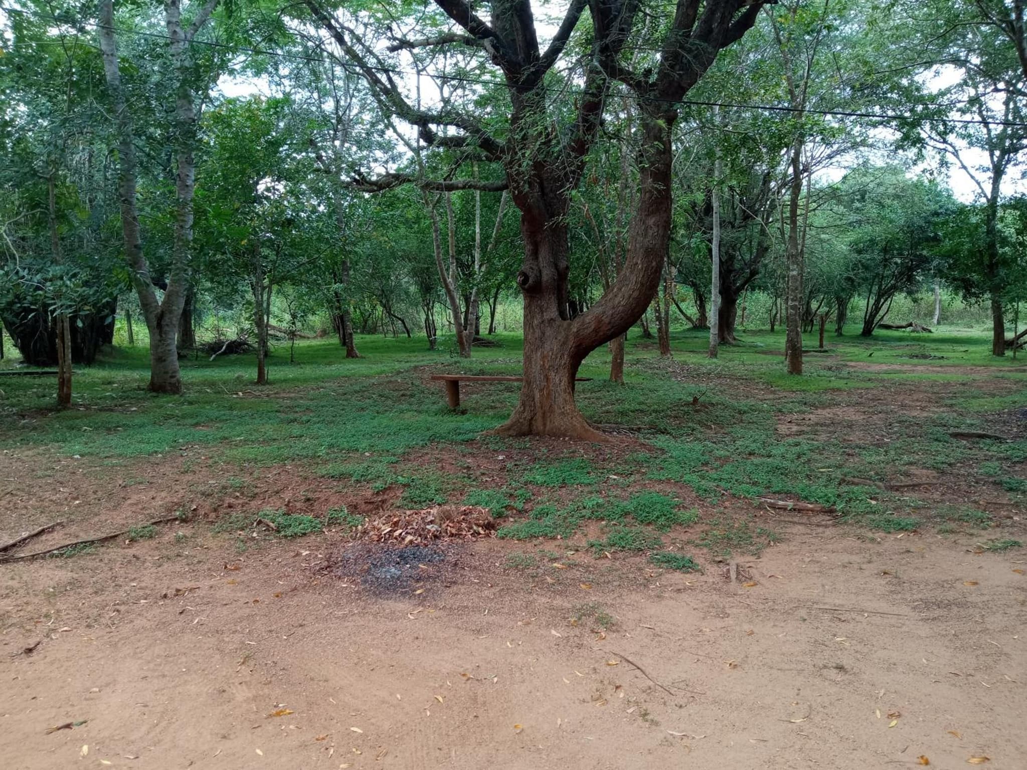 Park view Bungalow Wilpattu photo 5