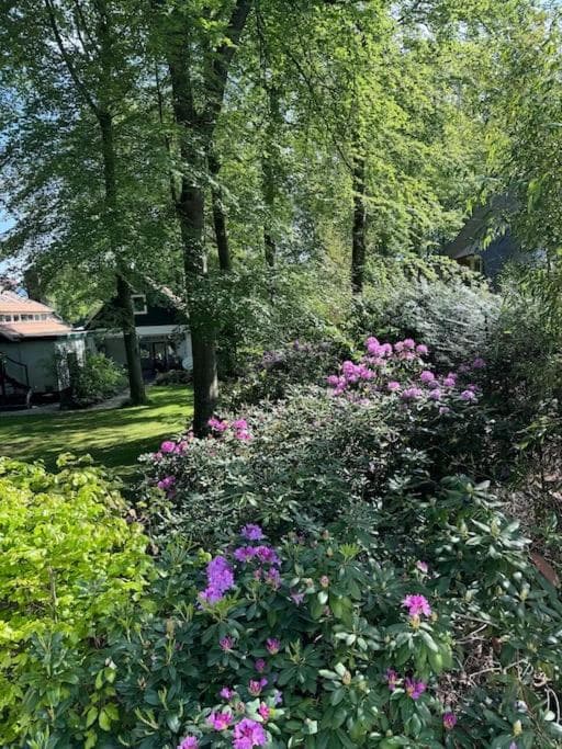 't Esdoorntje photo 8