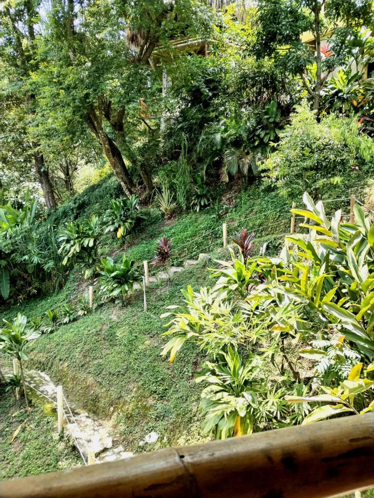Minca Ecohabs Hotel photo 2