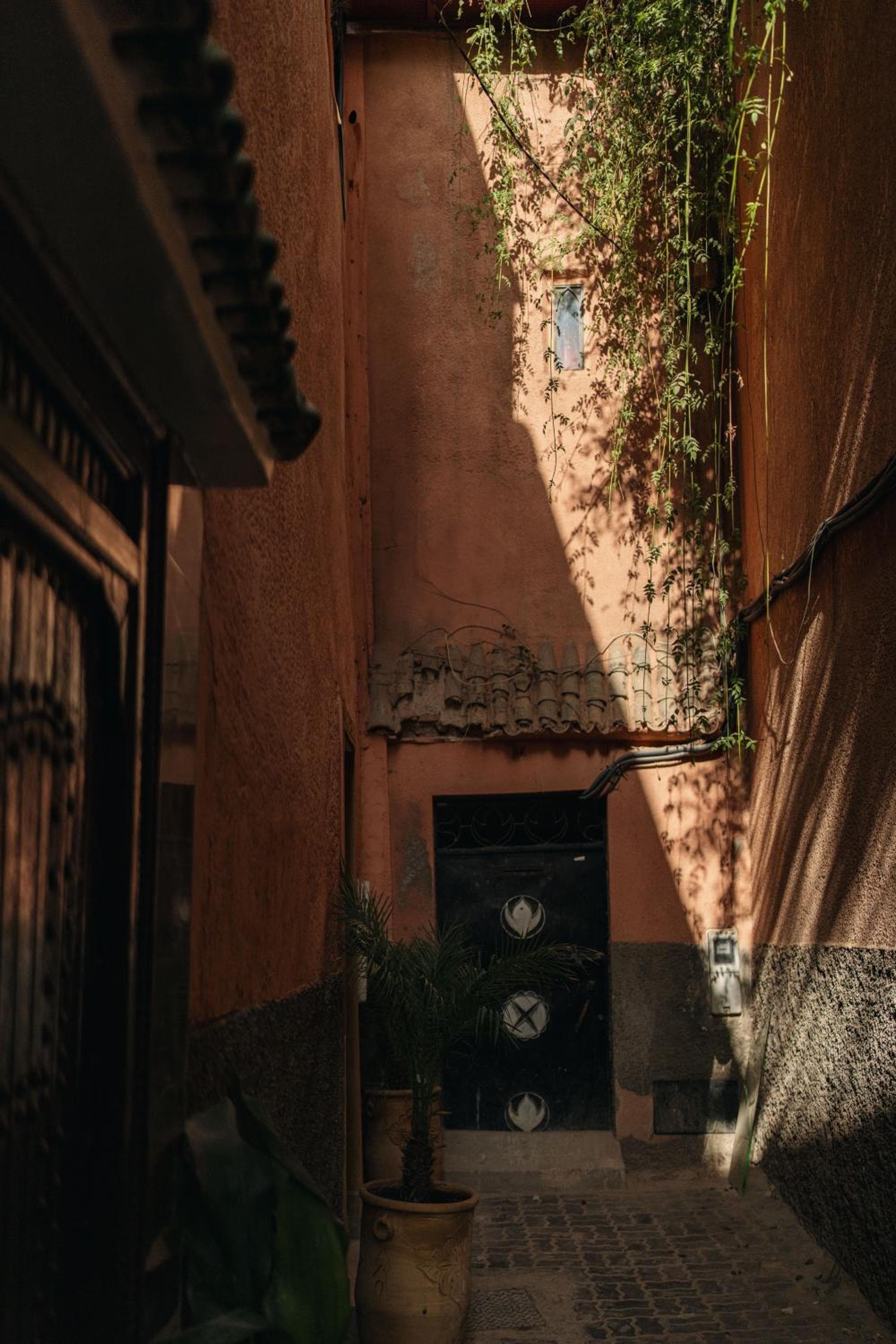 Riad Senja photo 2
