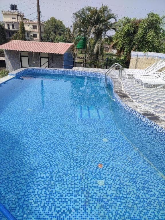 Motherland Resort photo 7