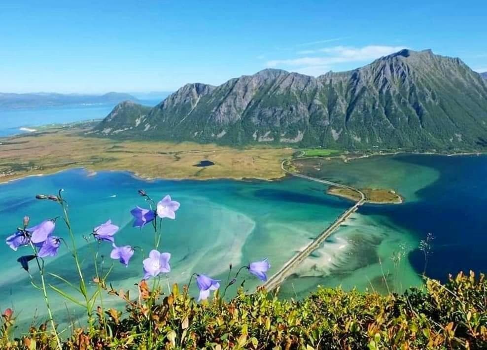 Ferie i Svolvær photo 4