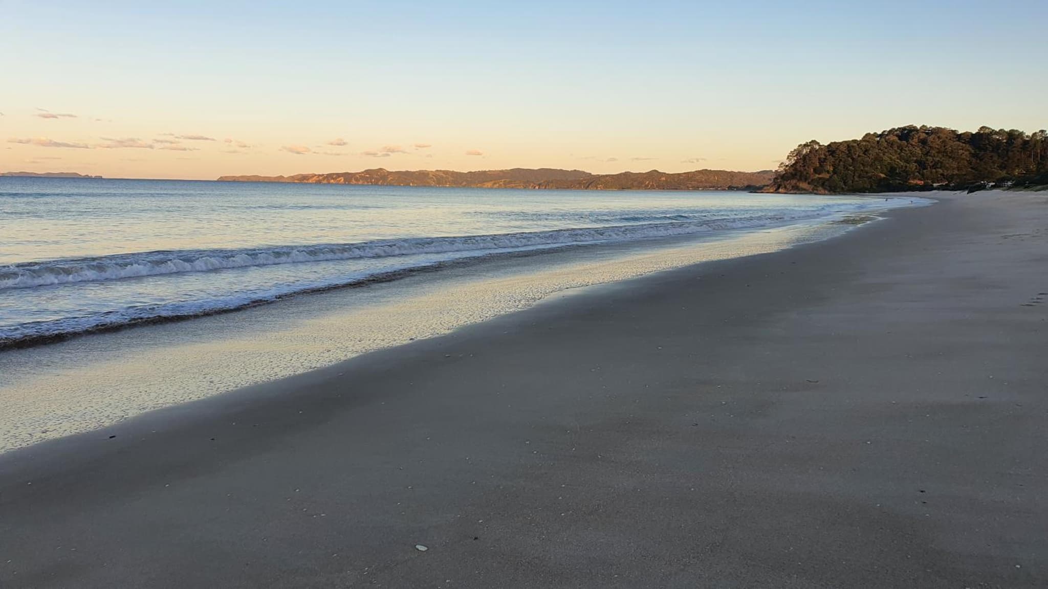 Whangapoua waves photo 8