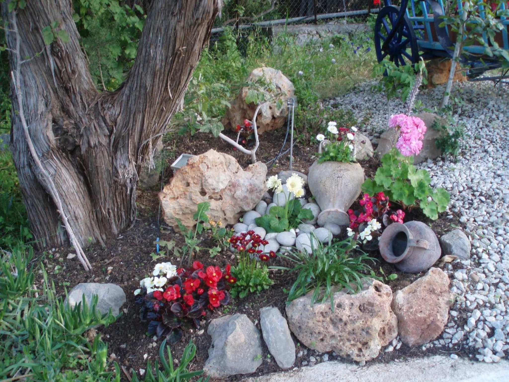 Residence Gerani photo 7