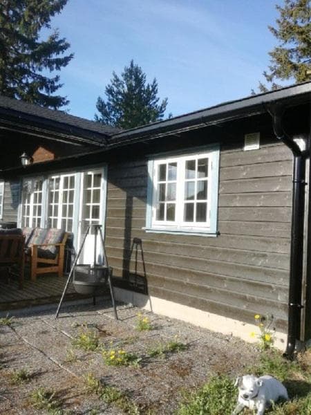 Sørlia hytte photo 3