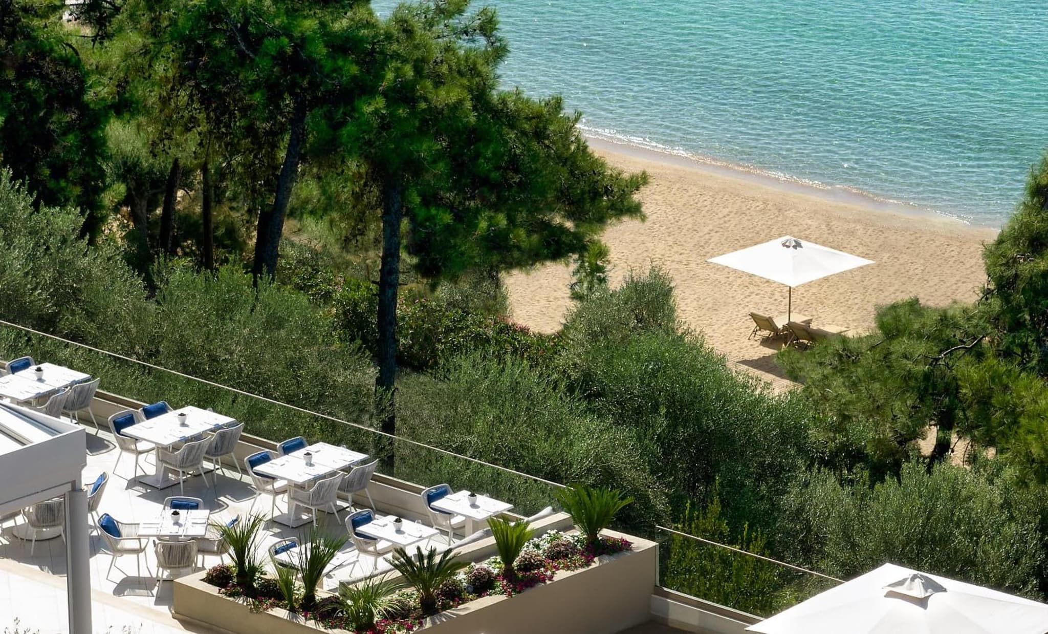 Ikos Oceania photo 9