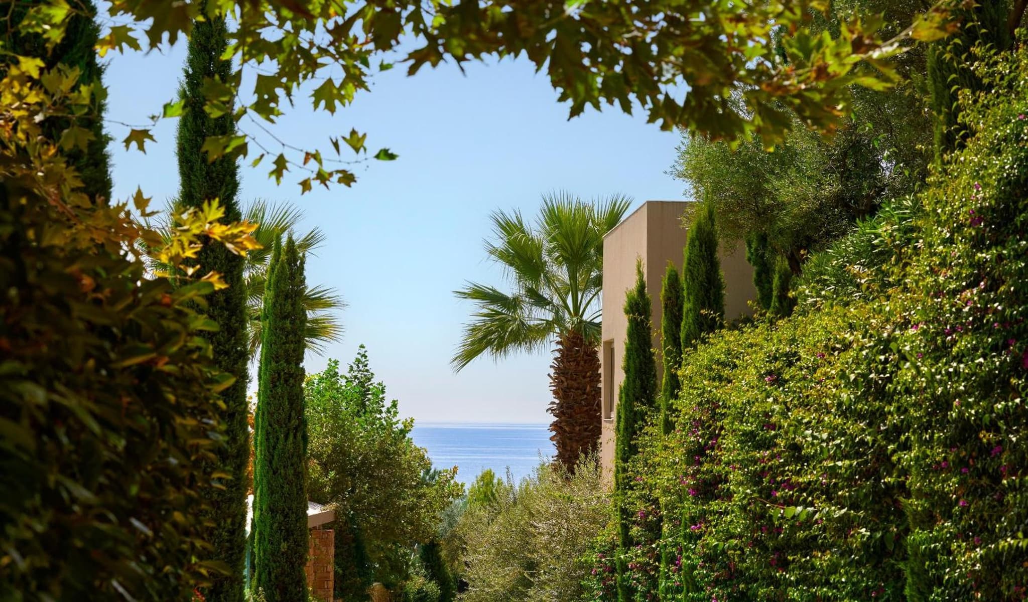 Ikos Oceania photo 7