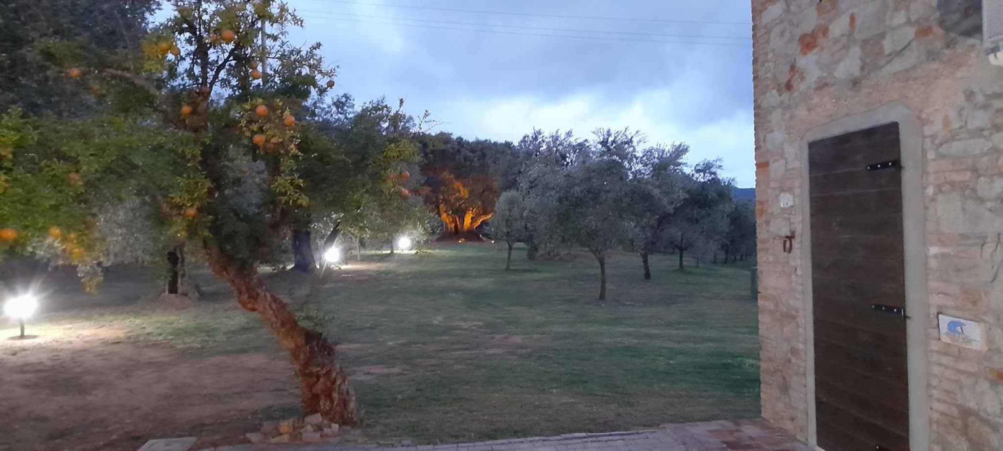 Agriturismo IL VECCHIO OLIVO photo 2