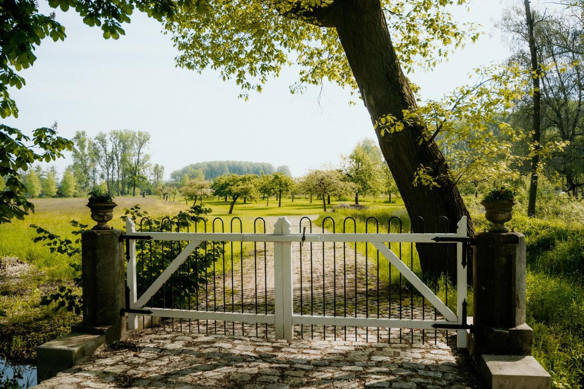 Landgoed Frymerson photo 3