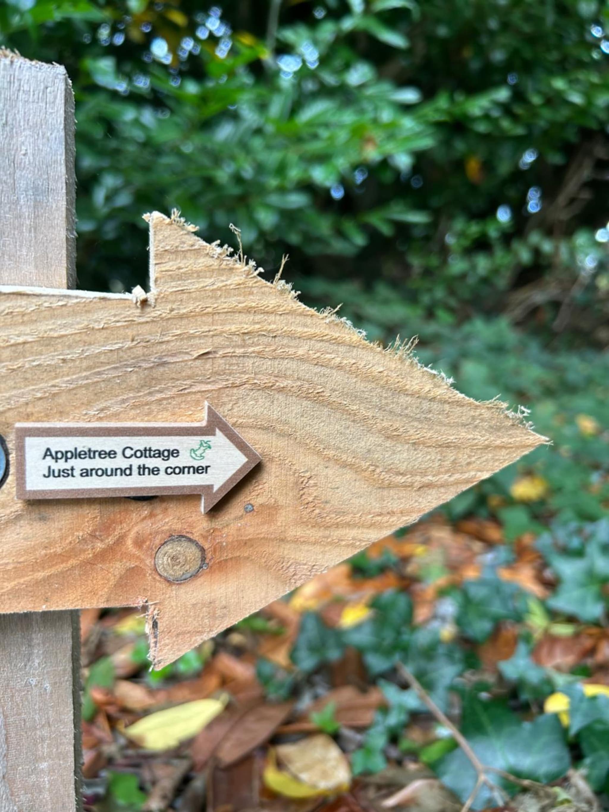 Appletree Cottage photo 5