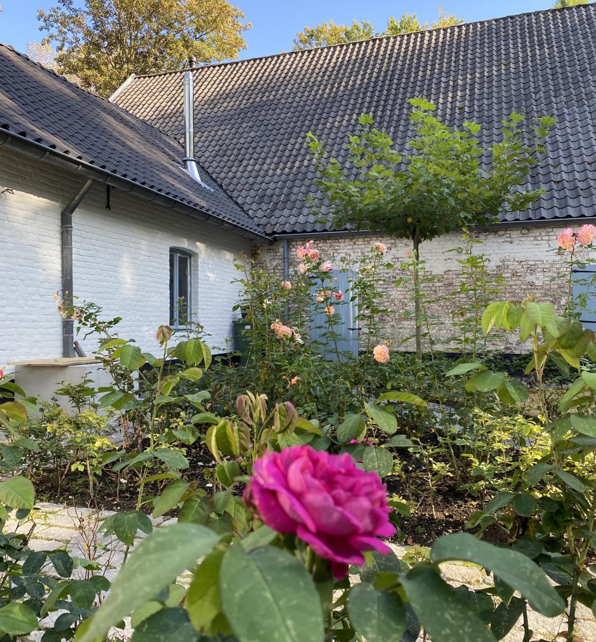 Landgoed Frymerson photo 4