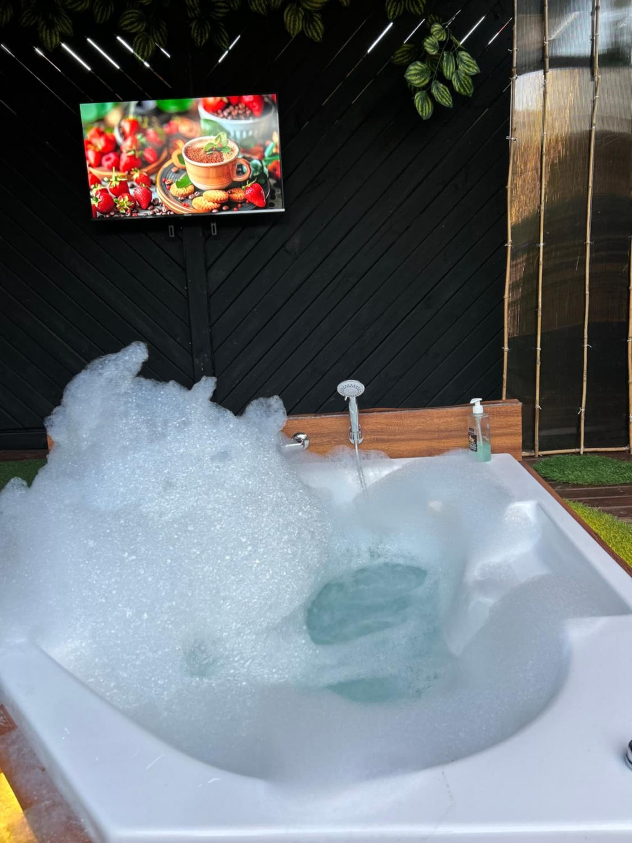 Beehouse TinyGreen Jacuzzi Opcional photo 2
